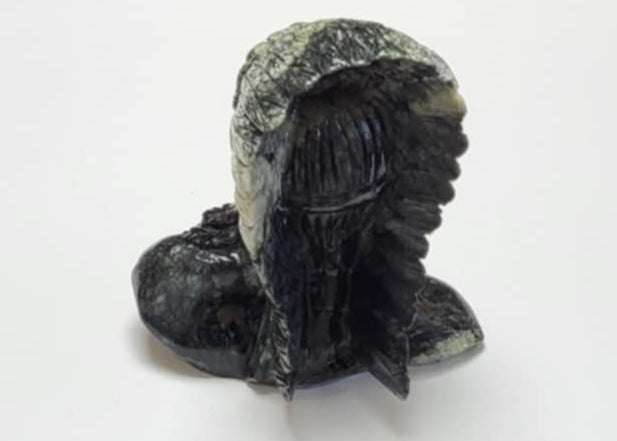 Indianere i Xiuyan Jade