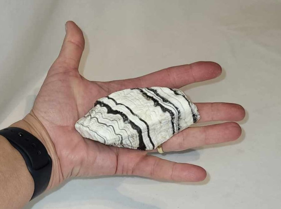 Zebra Calcit