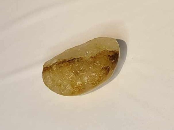 Golden Healer 300 gr.
