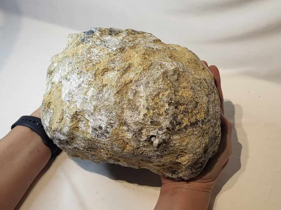 Celestin 12,5 kg - SENDES IKKE