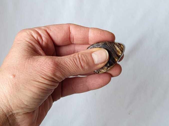 Stress af - Chokolade Calcit