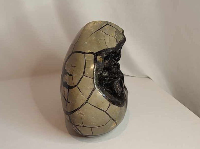 Drageæg 7,4 kg