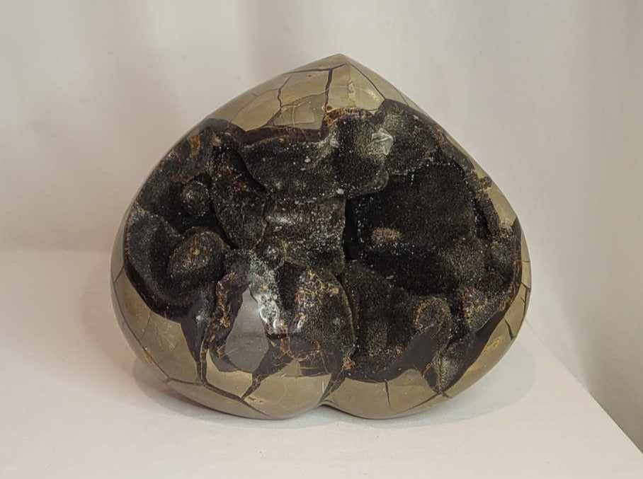 Drageæg 7,4 kg