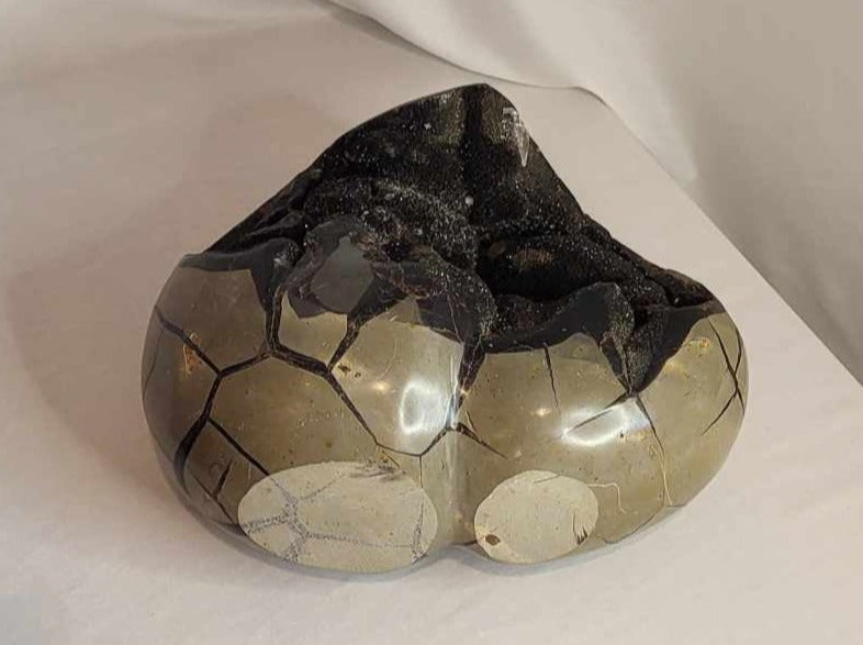 Drageæg 7,4 kg