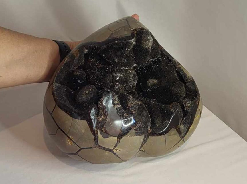 Drageæg 7,4 kg