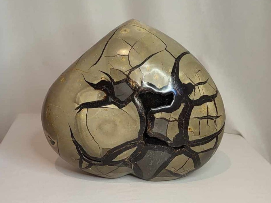 Drageæg 7,4 kg