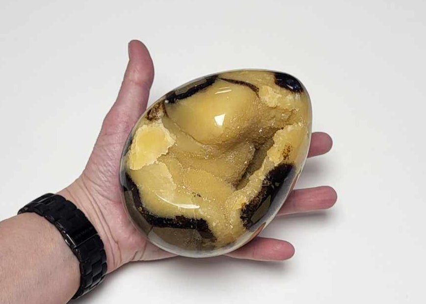 Drageæg 1,8 kg