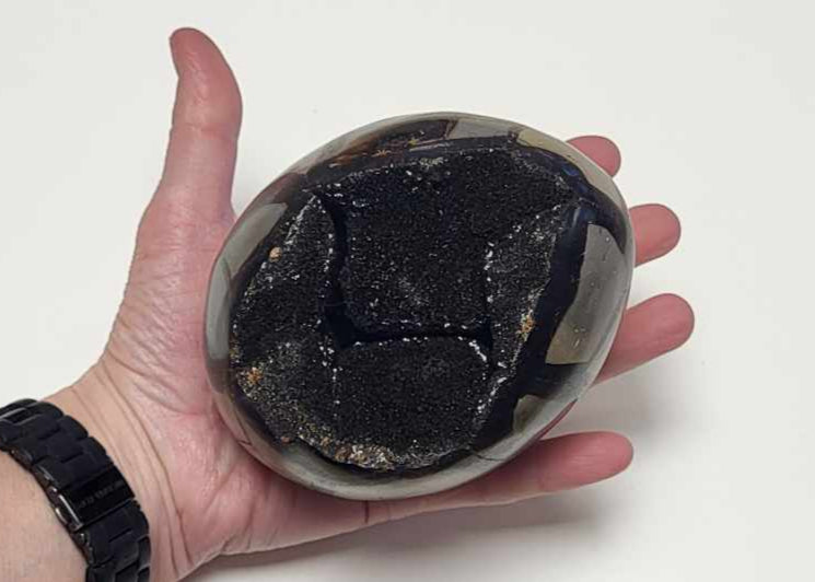 Drageæg 1,3 kg