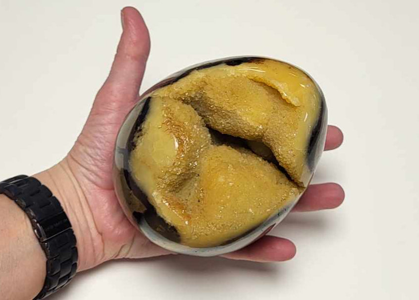Drageæg 1,8 kg