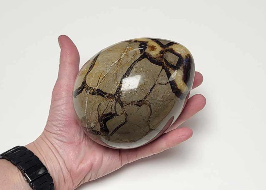 Drageæg 1,4 kg.