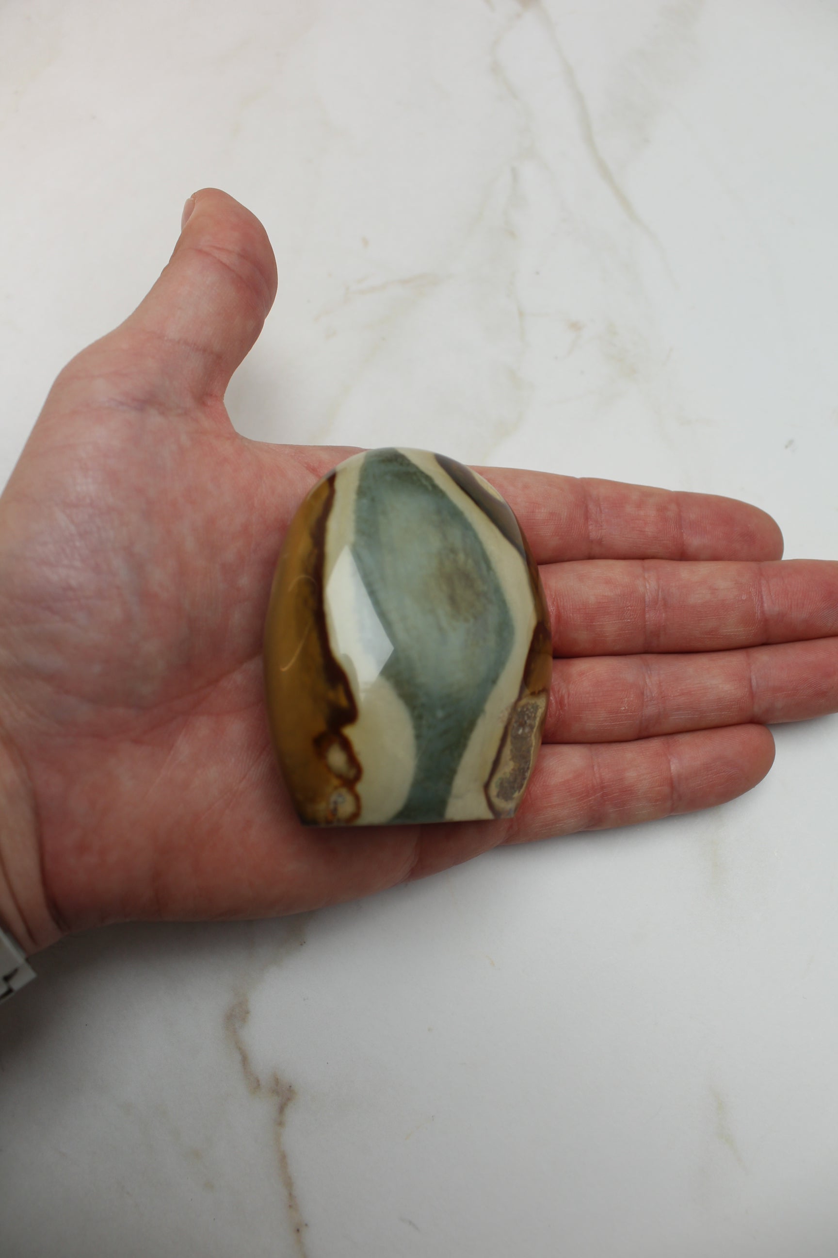 Prolycrome Jaspis - 179g