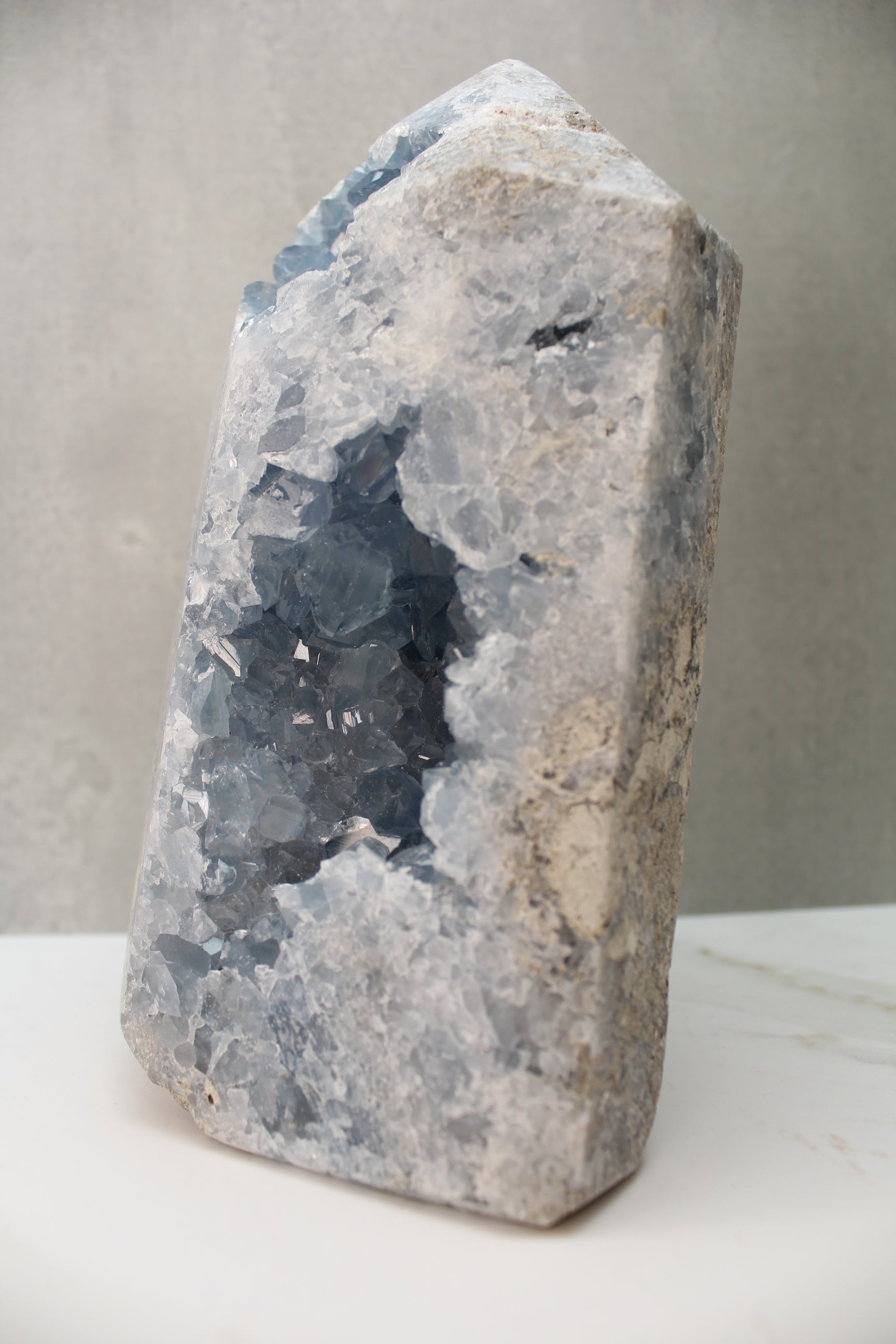 Celestin Tårm - 2.7kg