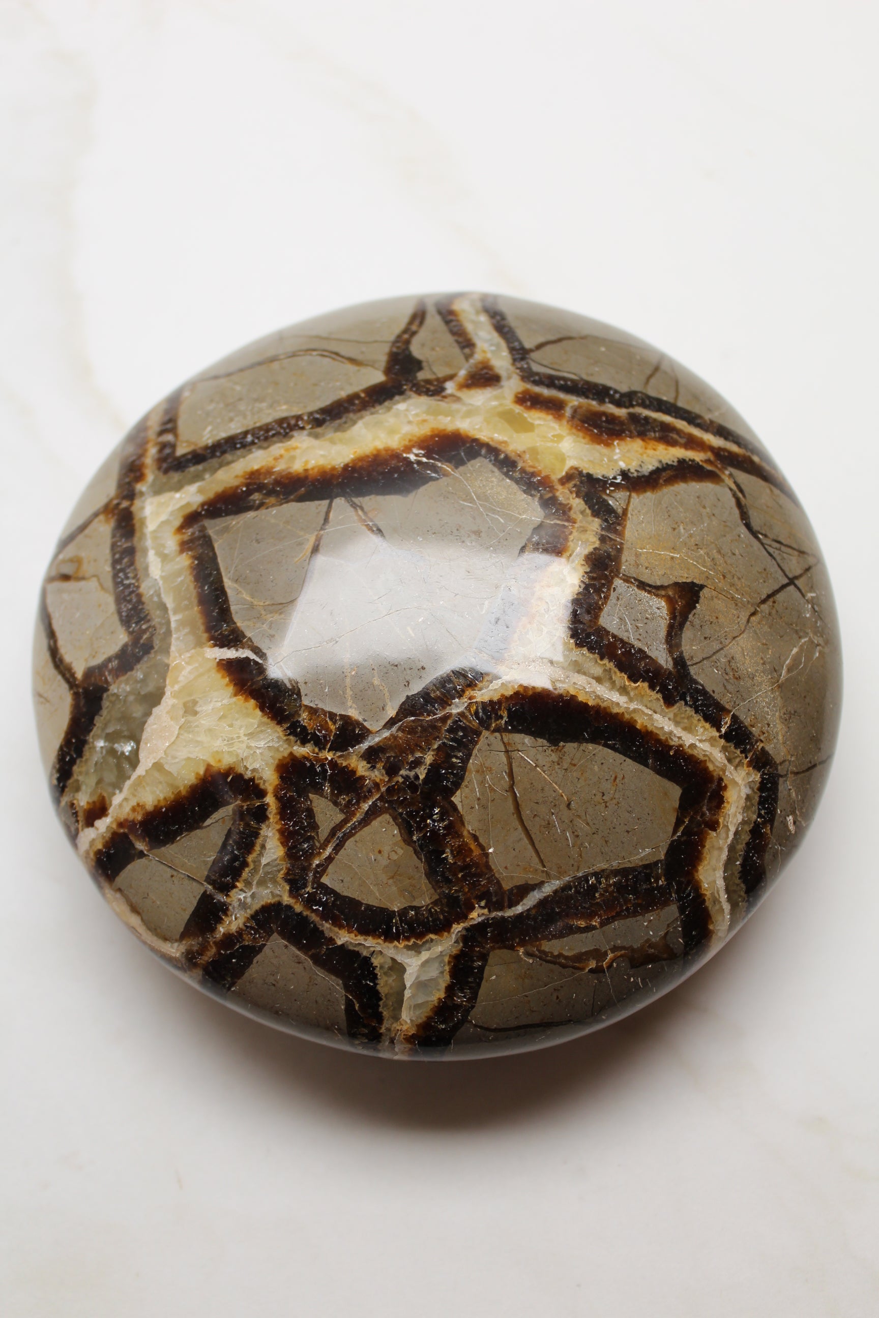 Gul Septarie UFO - 1.5kg