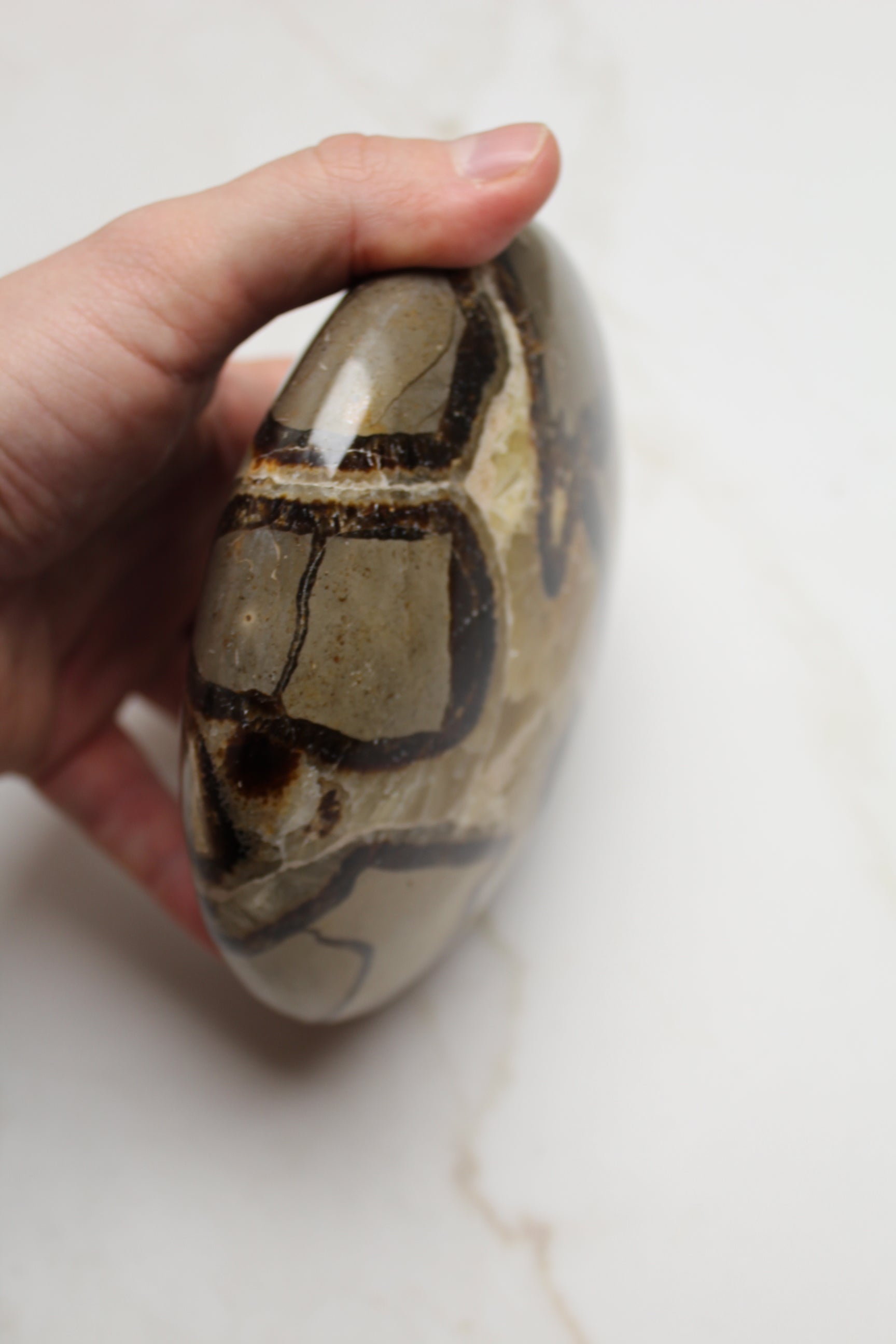 Gul Septarie UFO - 1.5kg