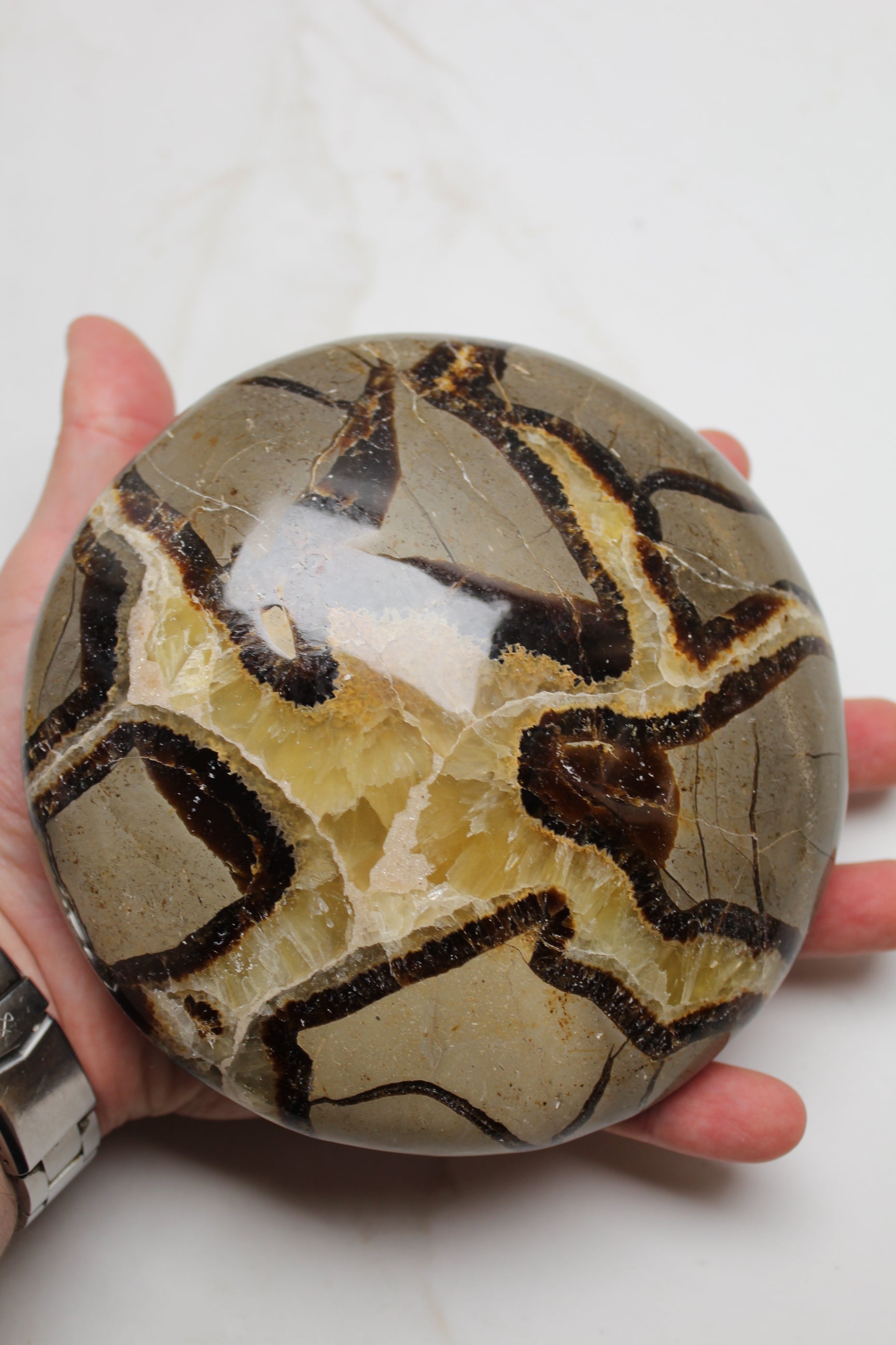 Gul Septarie UFO - 1.5kg