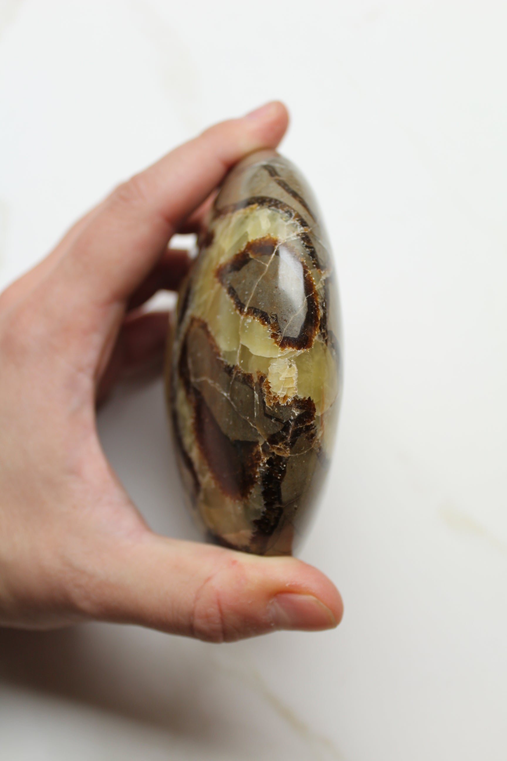 Gul Septarie UFO - 860g