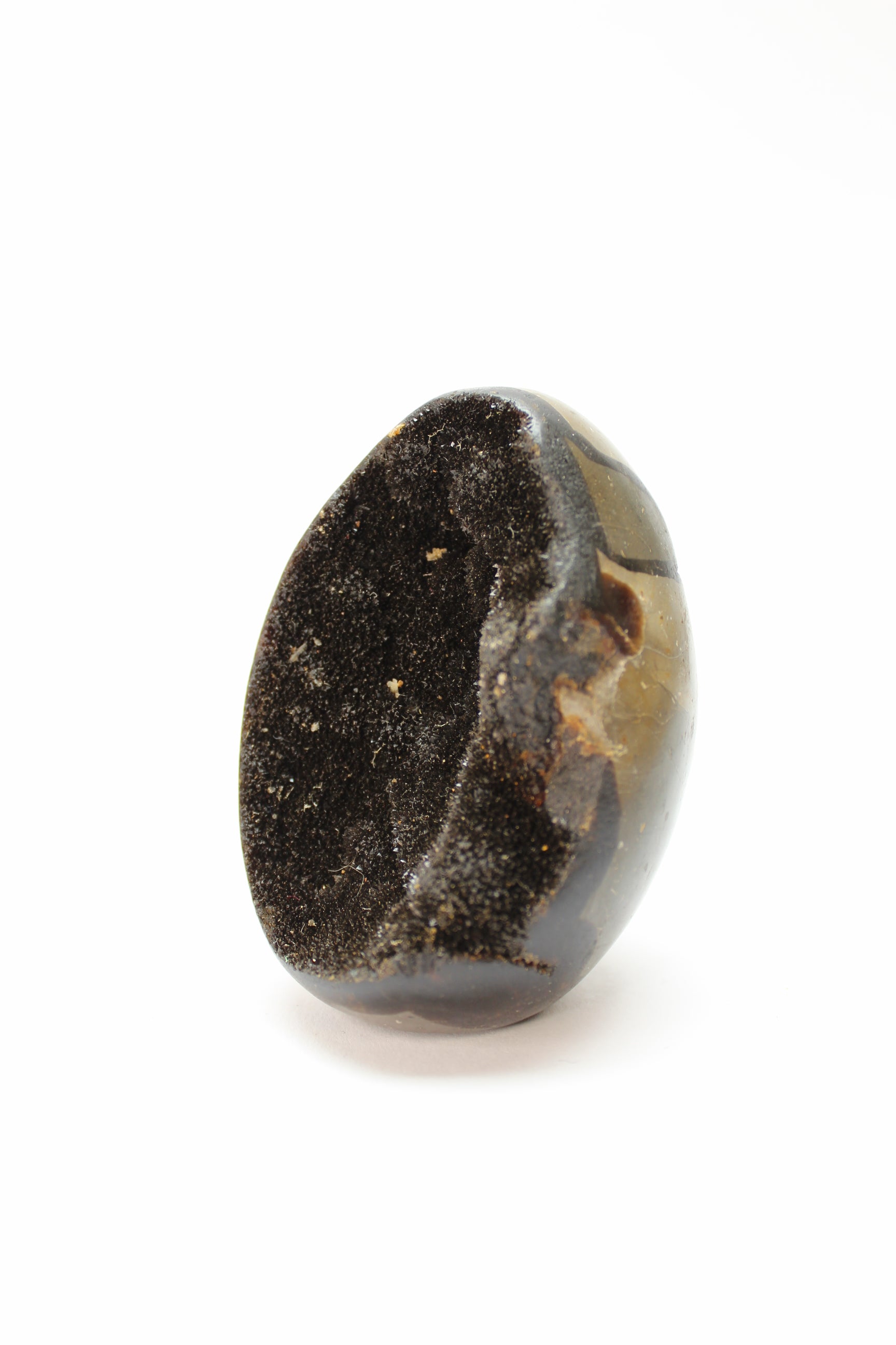 Septarie Æg / Drageæg (Flere Varianter)