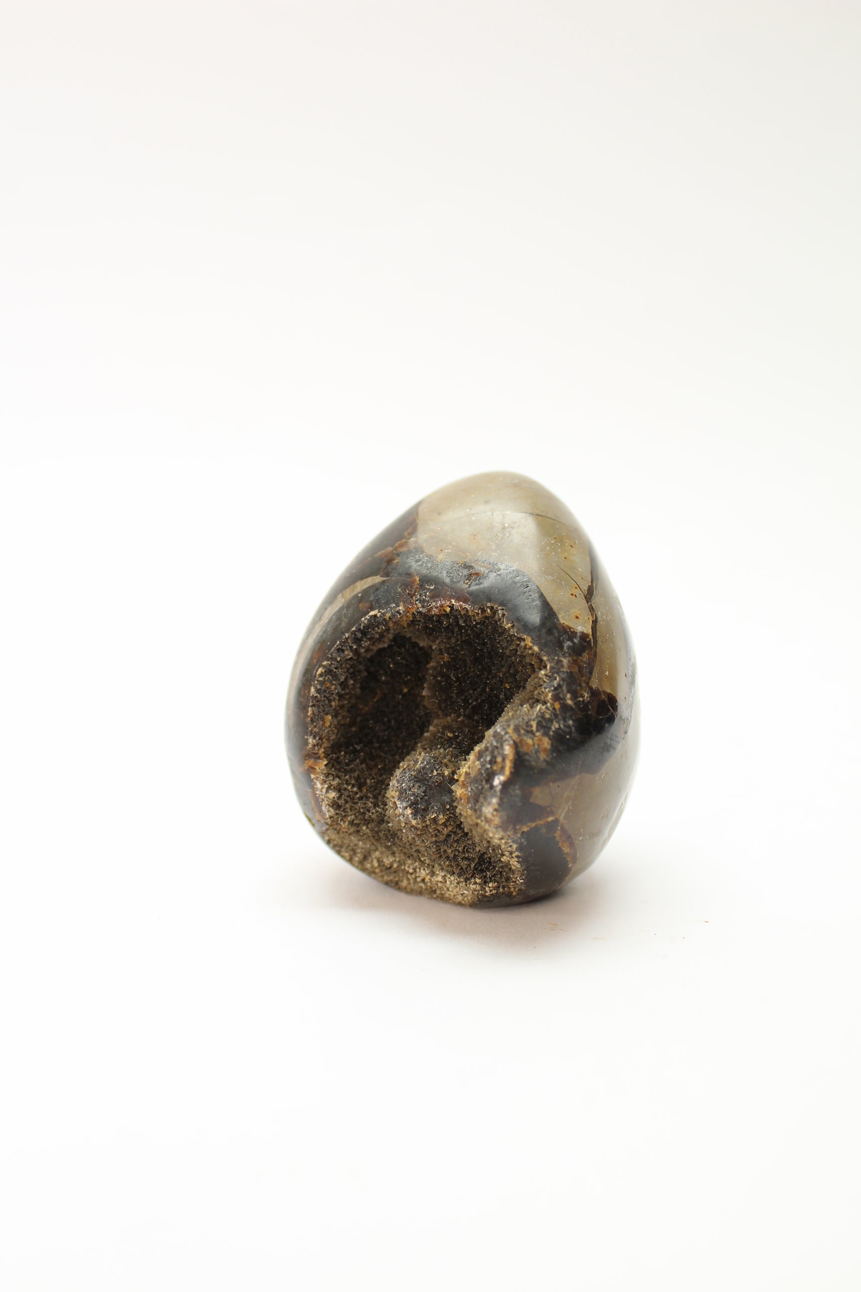 Septarie Æg / Drageæg (Flere Varianter)