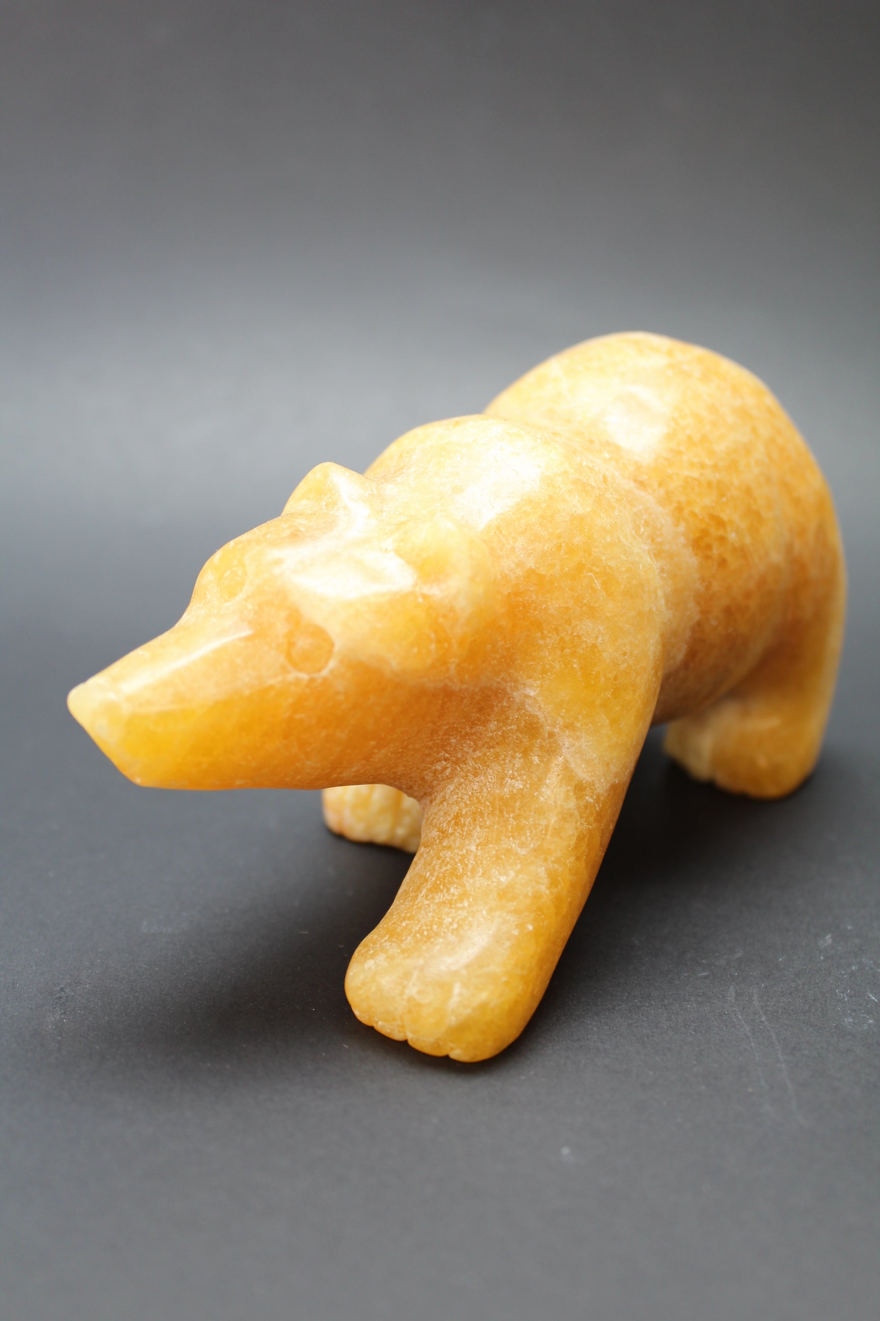 Bjørnens Hjerteskjold UNIKA