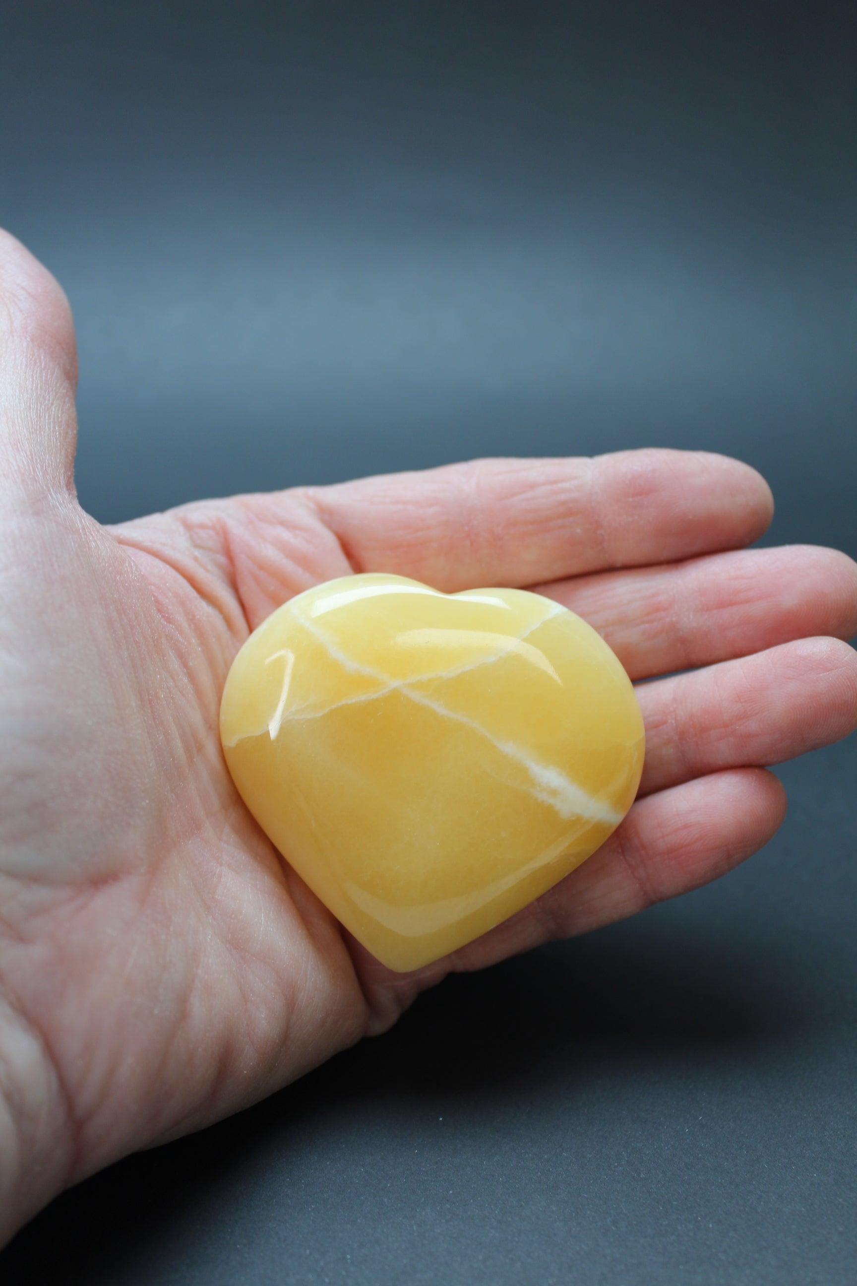 Bjørnens Hjerteskjold UNIKA