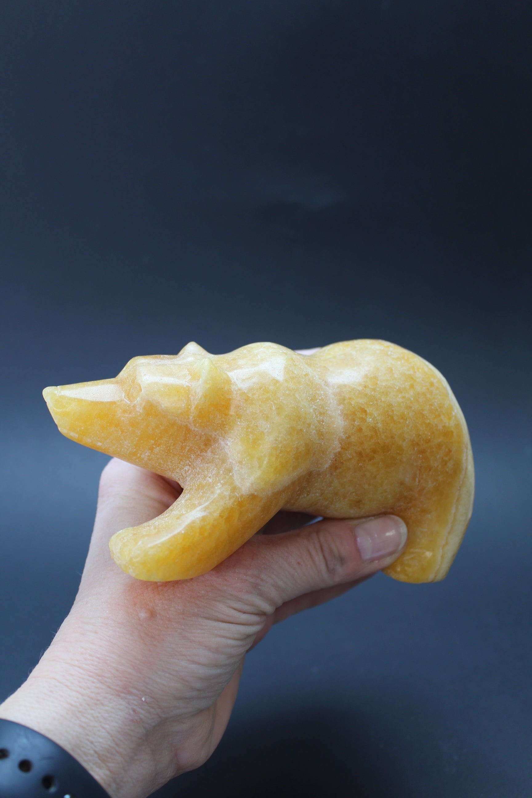 Bjørnens Hjerteskjold UNIKA