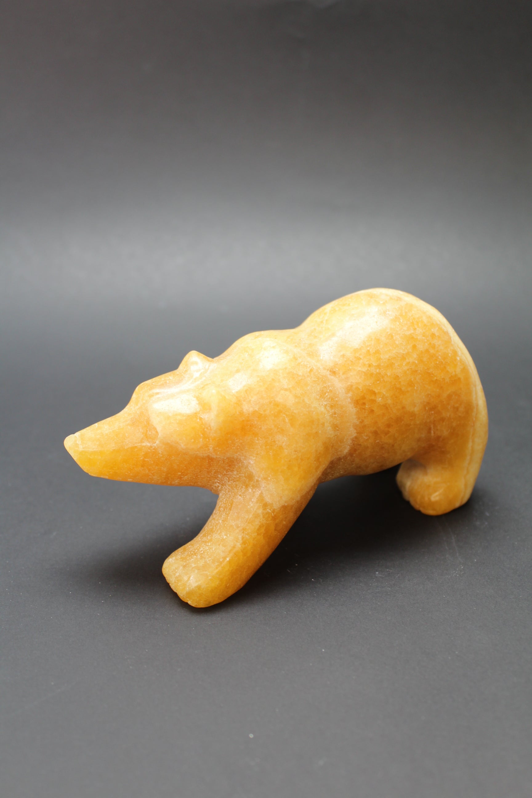 Bjørnens Hjerteskjold UNIKA