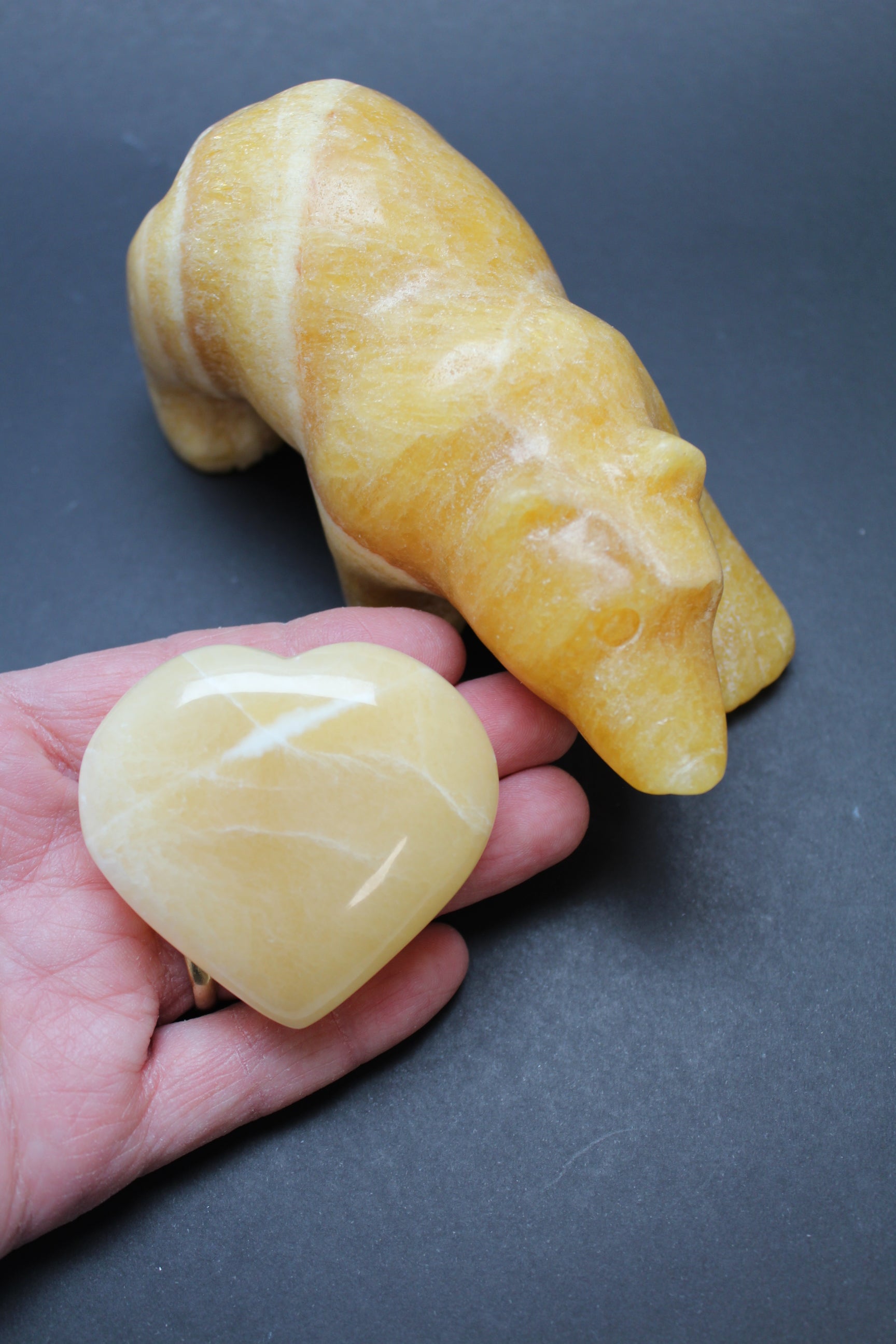 Bjørnens Hjerteskjold UNIKA