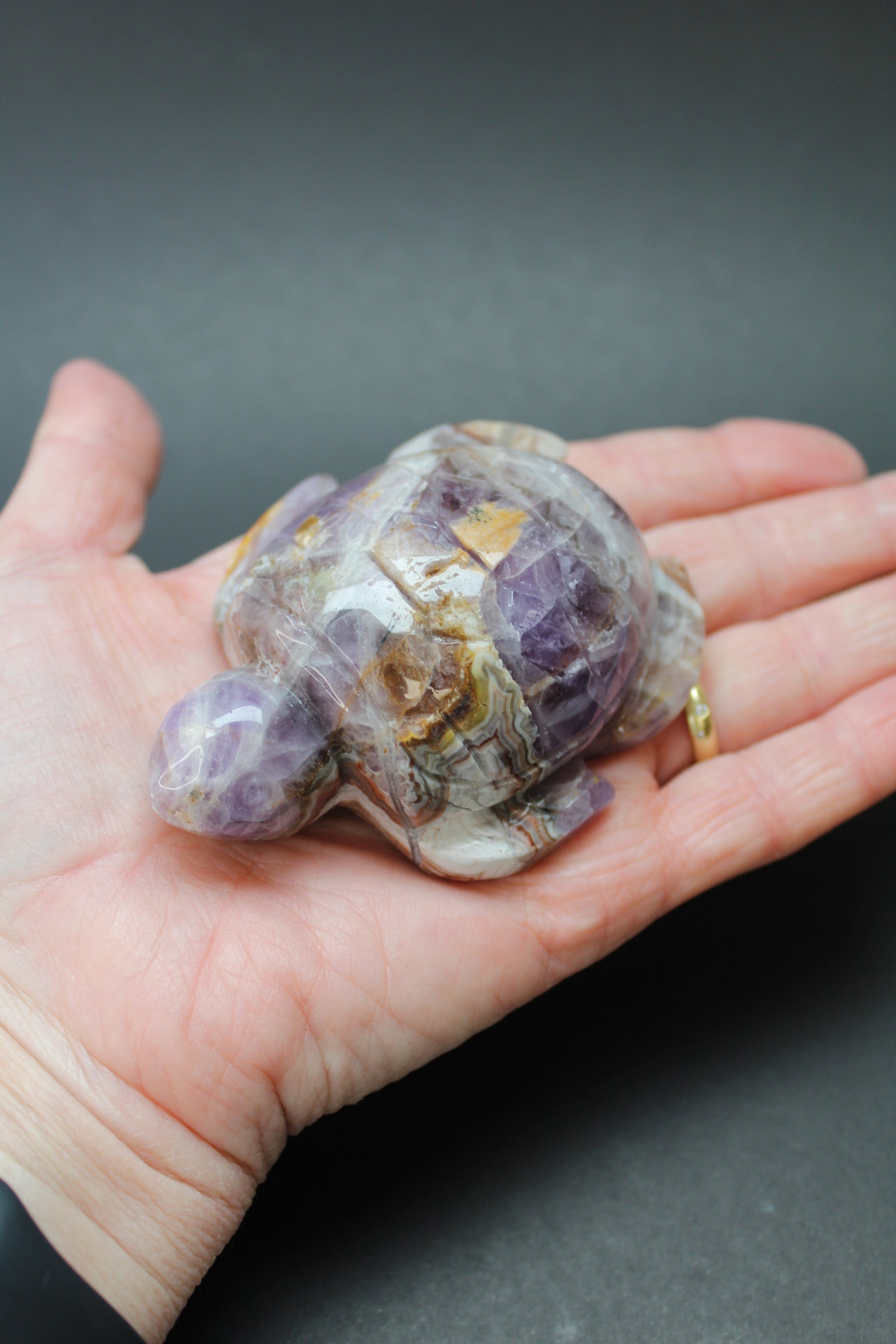 Skildpadde Ametyst/Agat