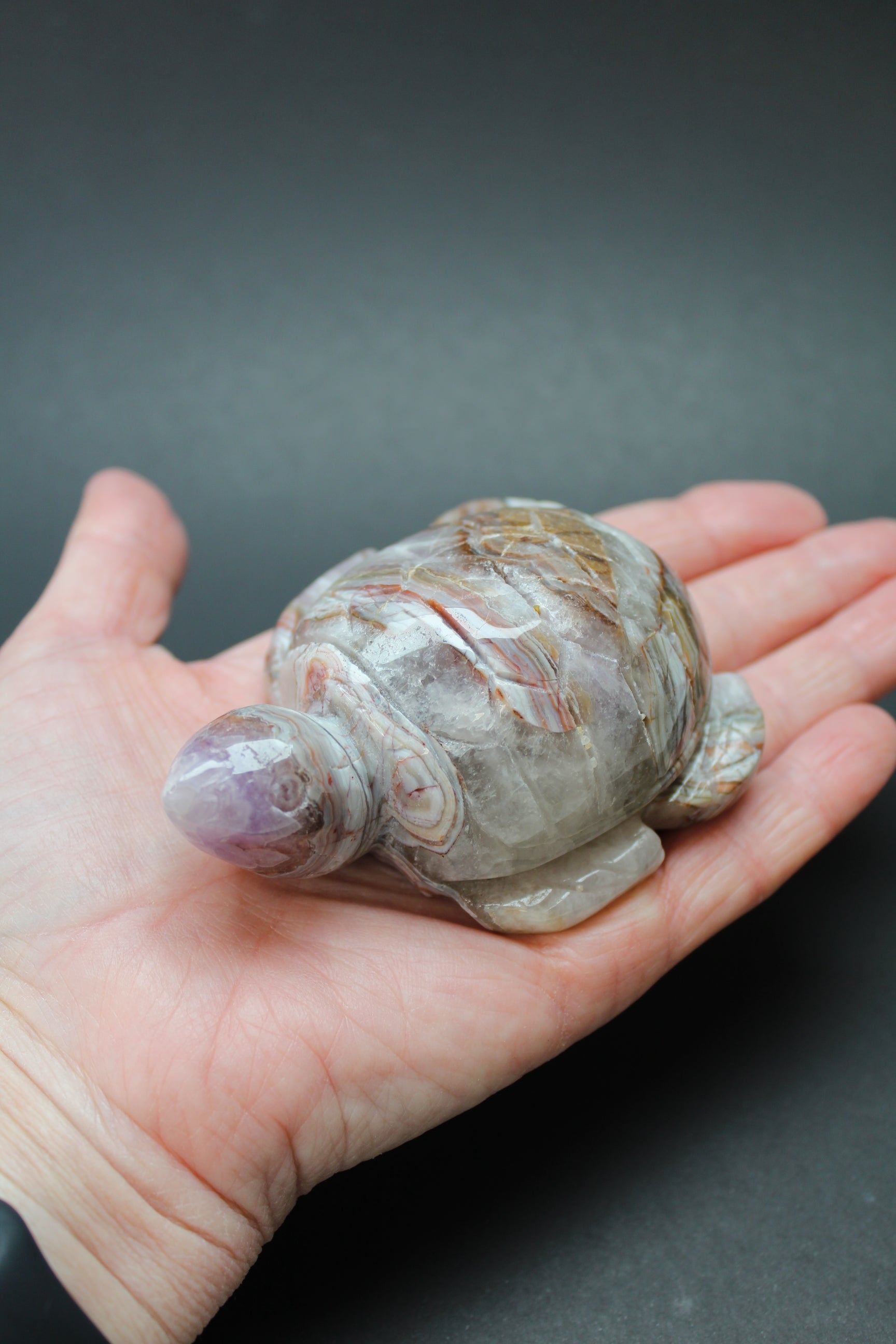 Skildpadde Ametyst/Agat