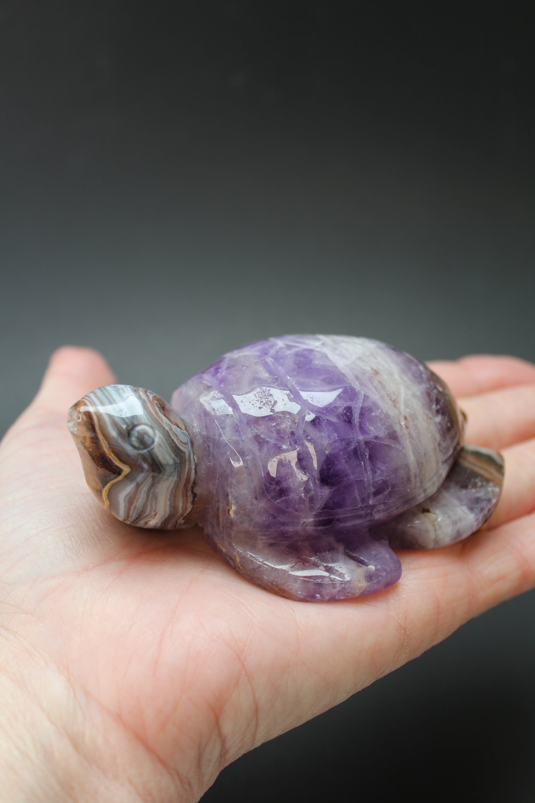 Skildpadde Ametyst/Agat