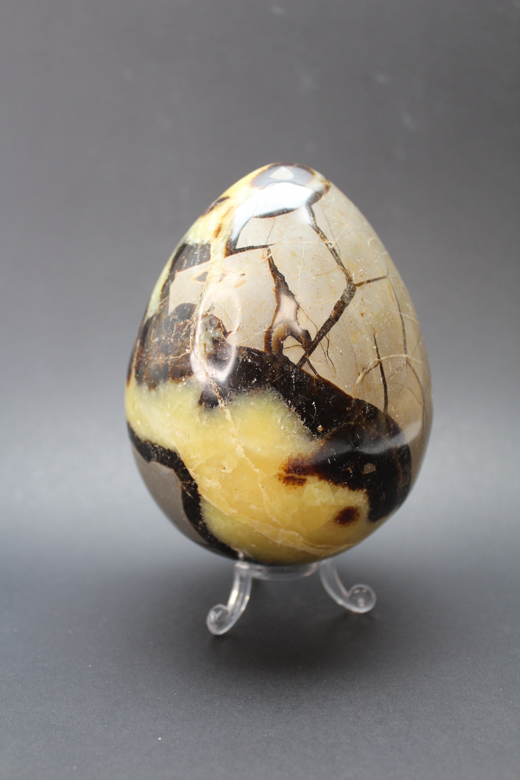 Drageæg Gul Septarie