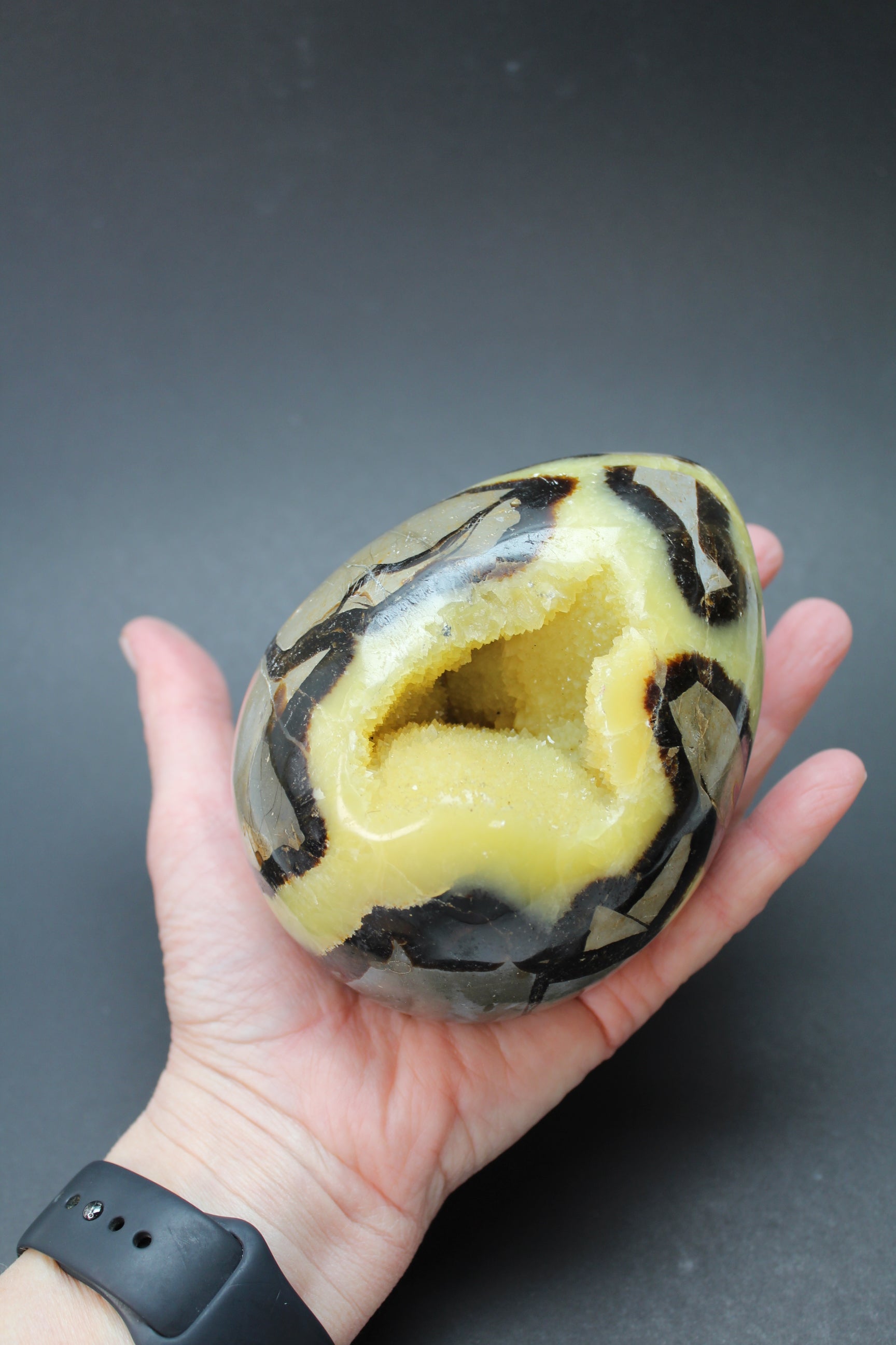 Drageæg Gul Septarie