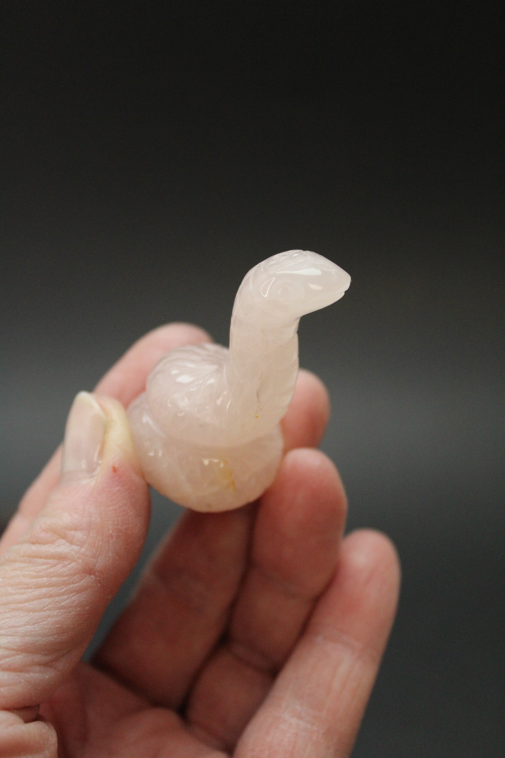 Slangens hjerte - Krystalsæt UNIKA