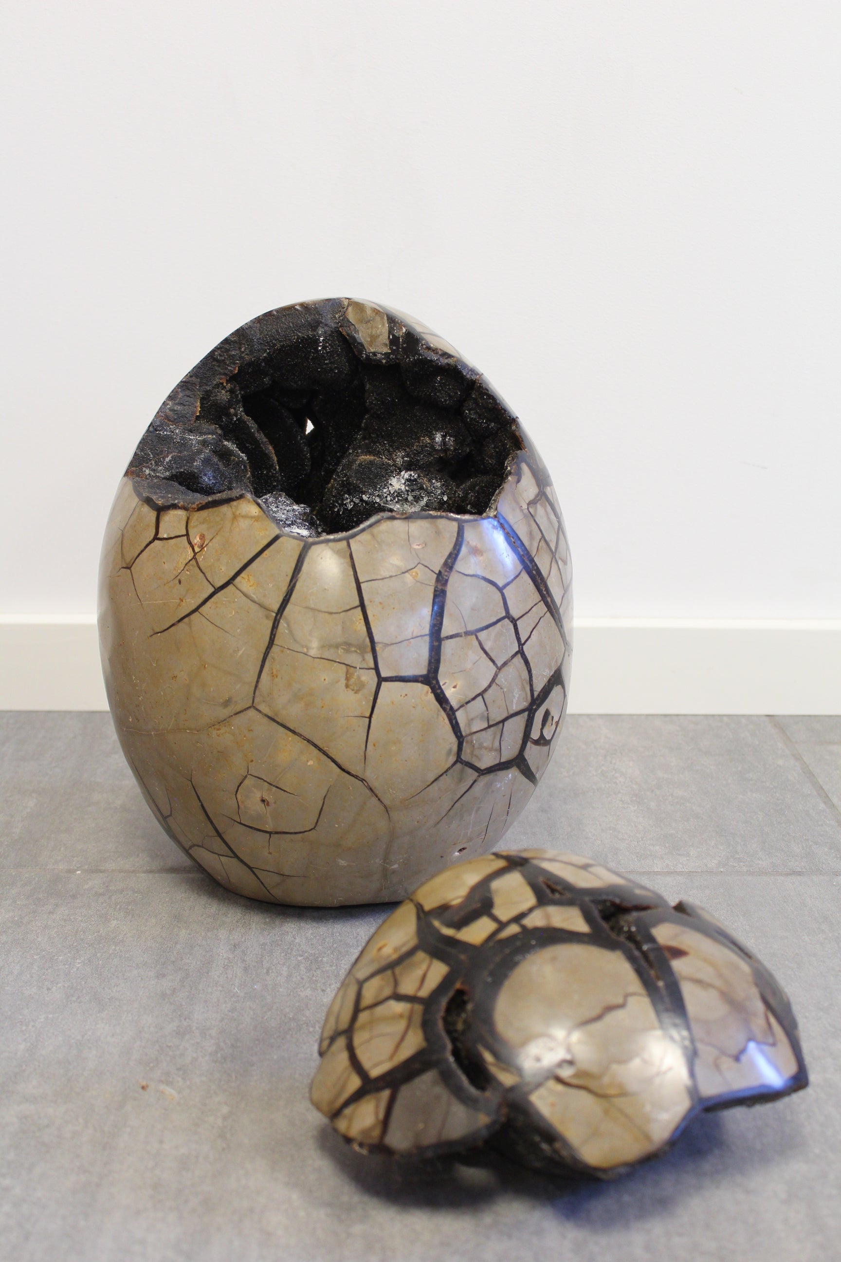 Septarie æg/Drageæg - 19,6 kg