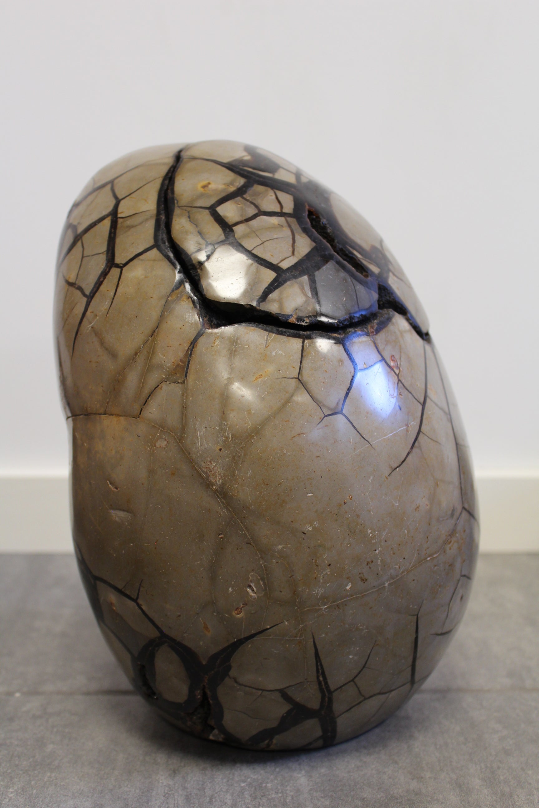 Septarie æg/Drageæg - 19,6 kg