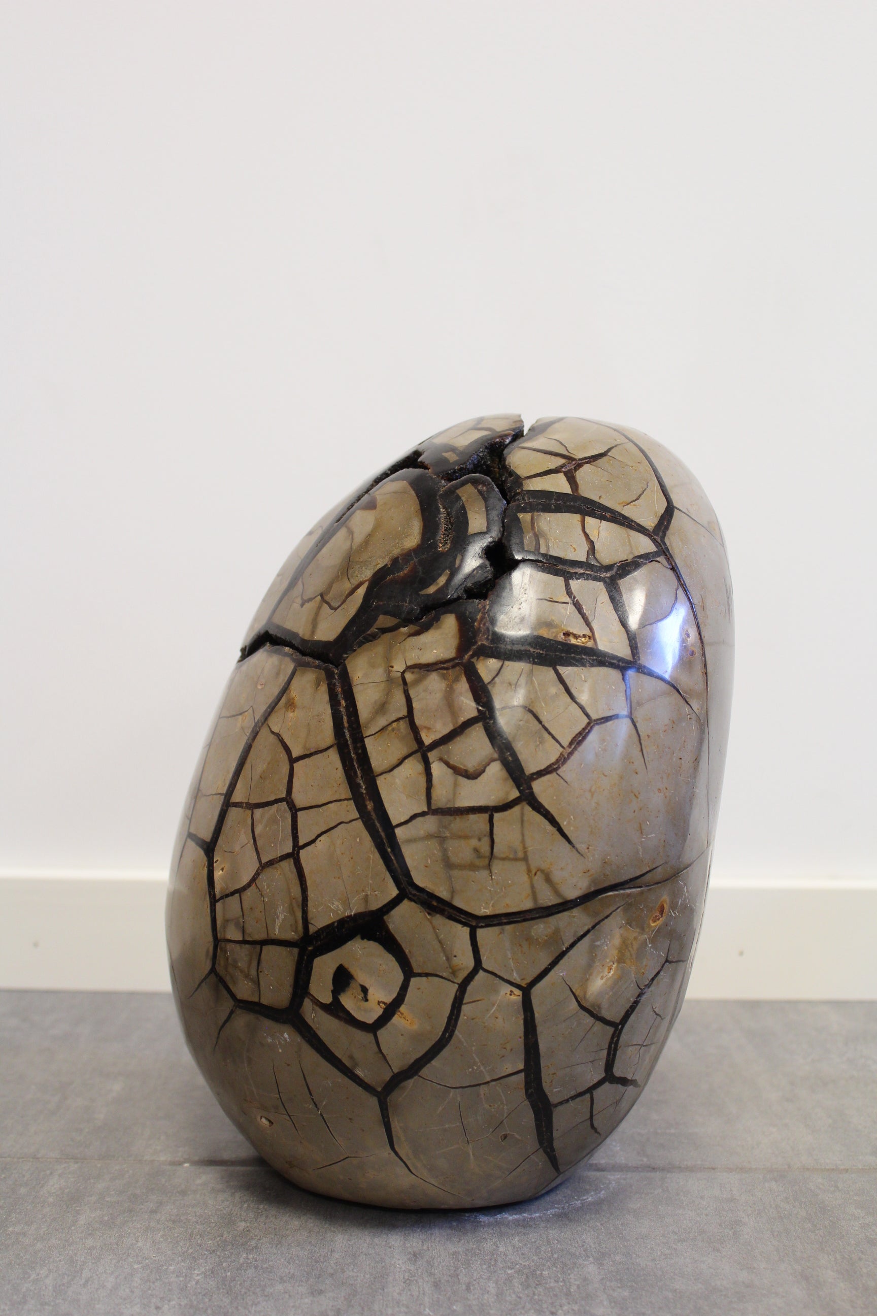Septarie æg/Drageæg - 19,6 kg