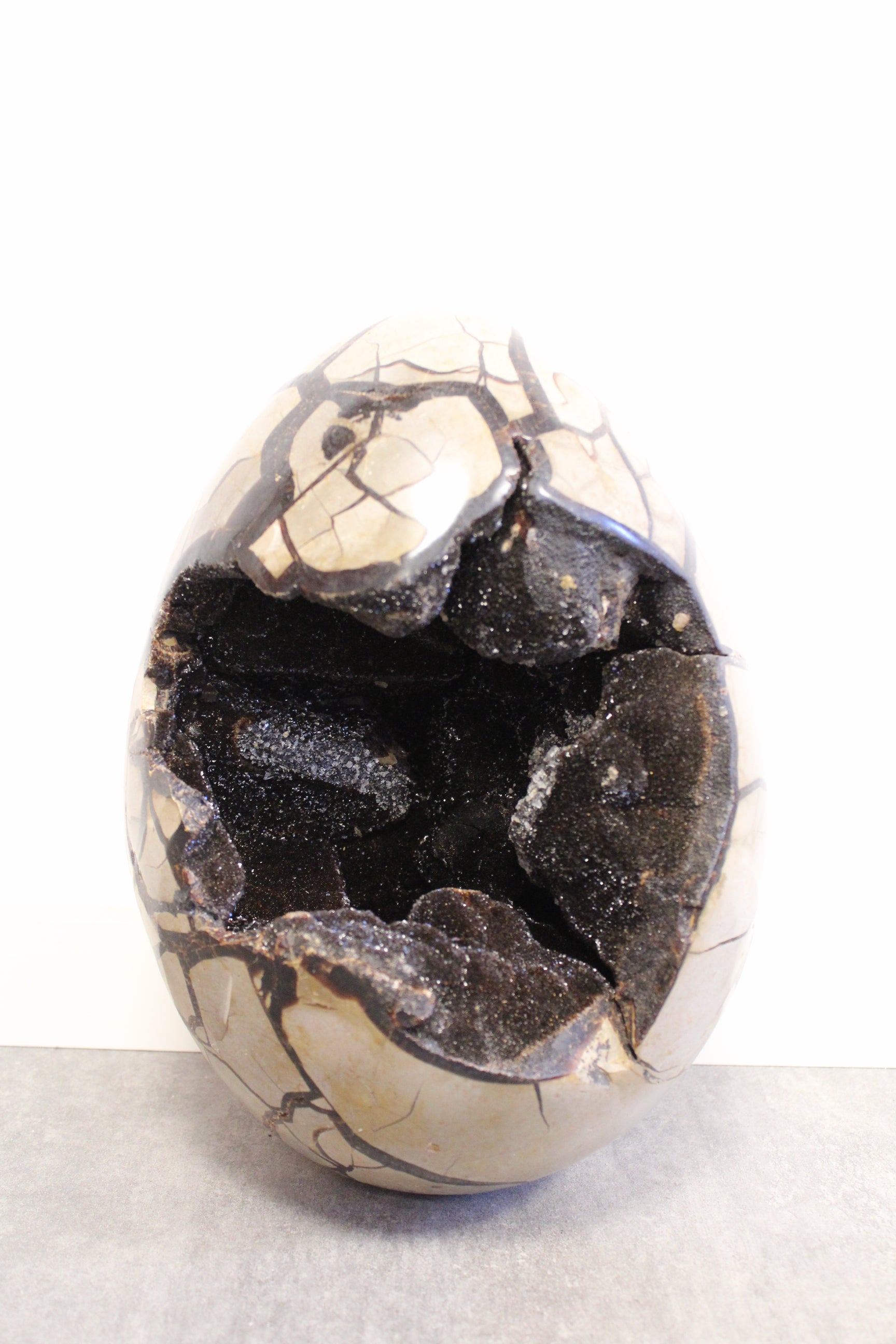 Septarie æg/Drageæg - 12,3 kg