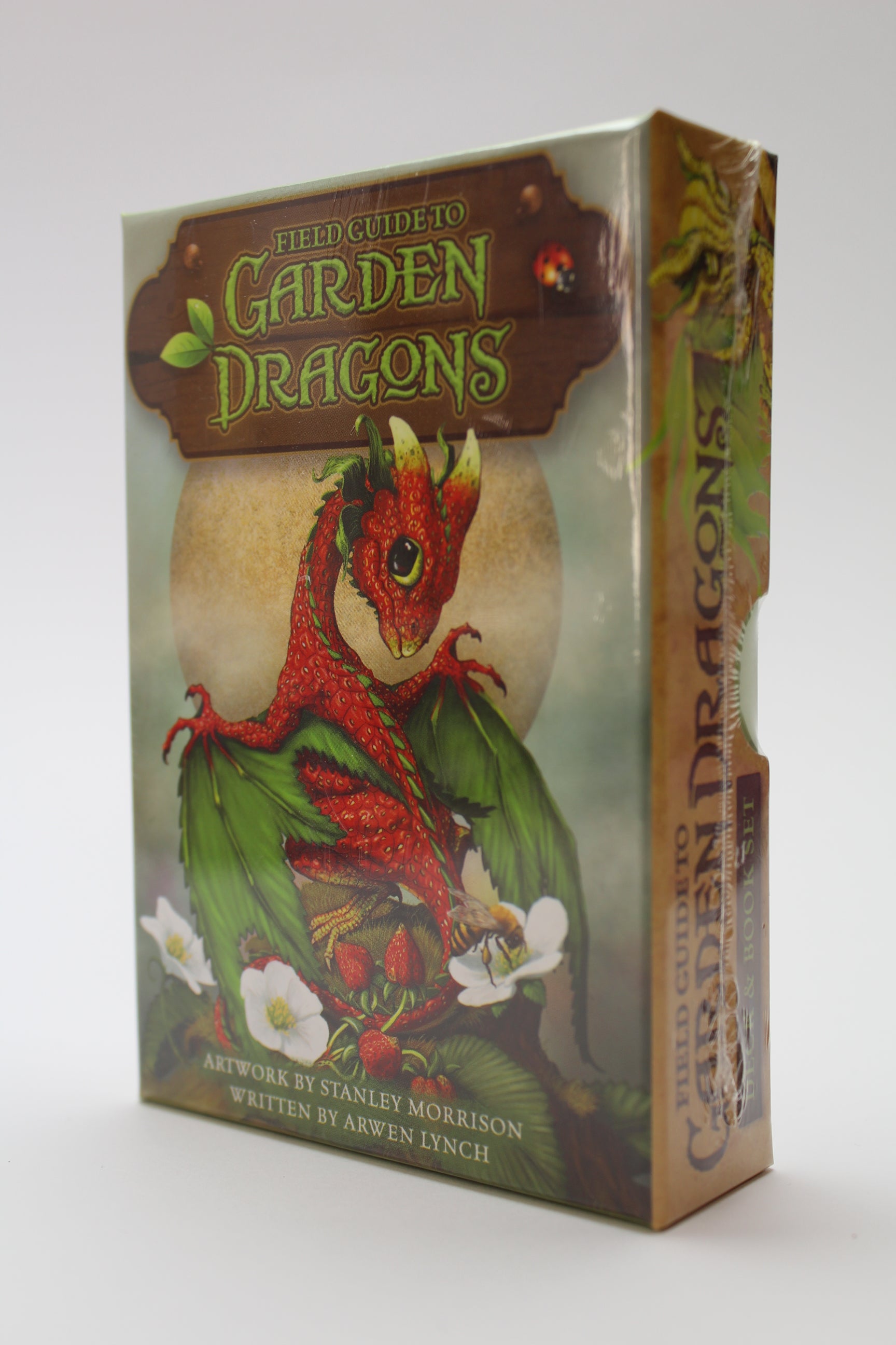 Garden Dragons