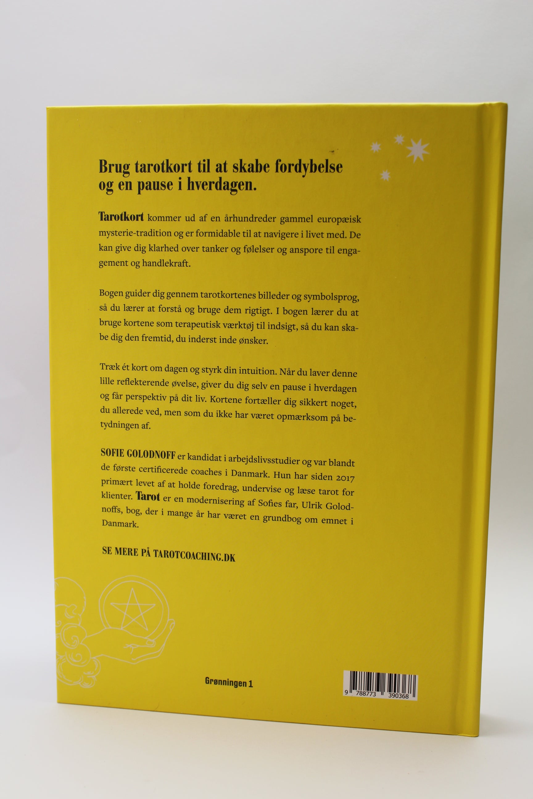 Tarot Bog - Lær at tyde kortenes visdom