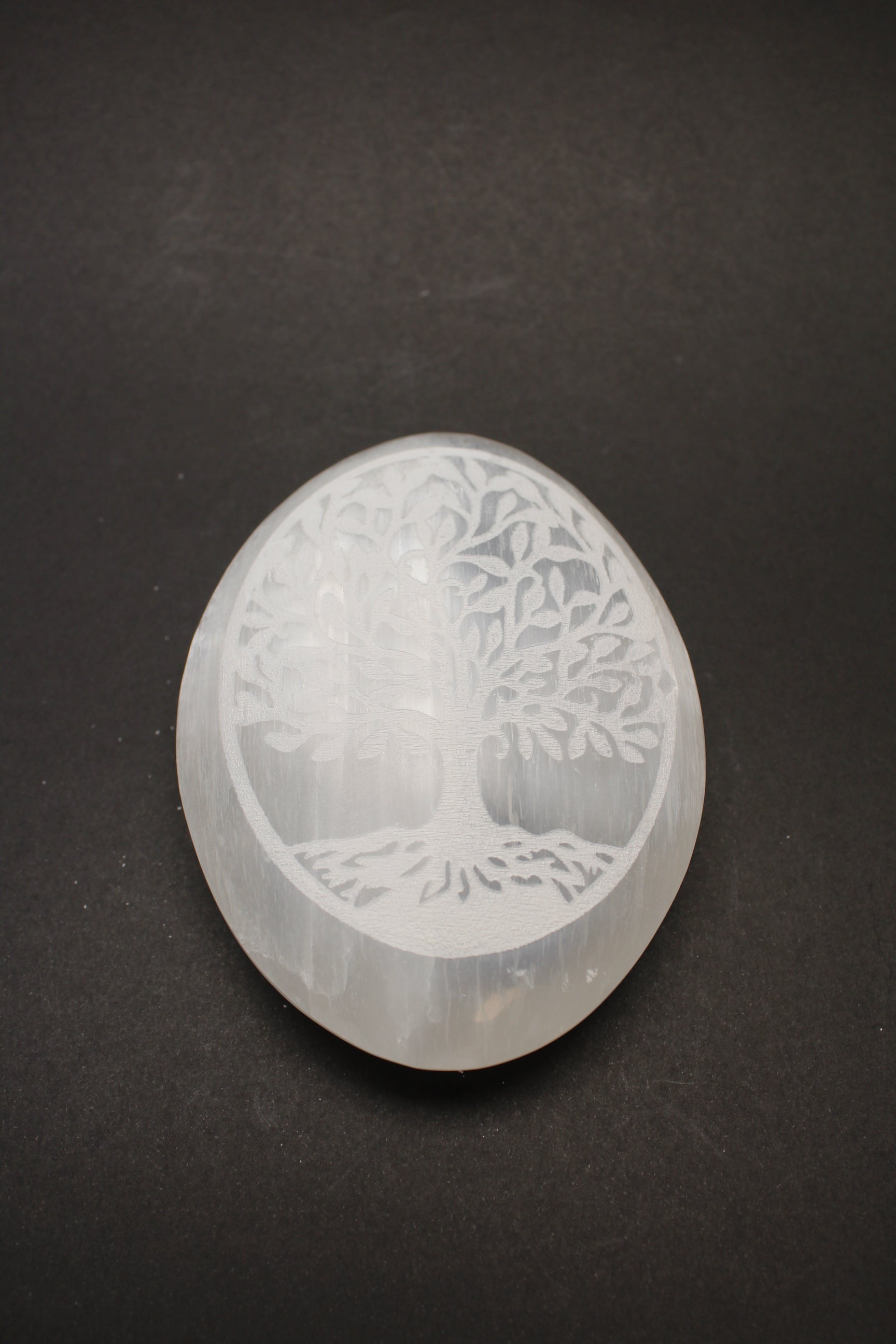 Selenit Palmstone - Livets Træe - 10-11cm