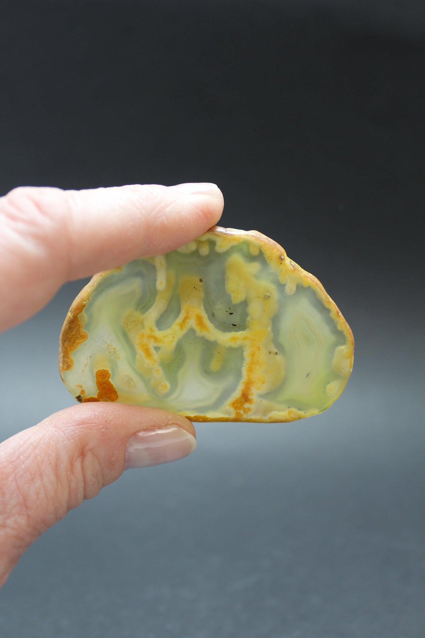 Det Hellige Spejl UNIKA