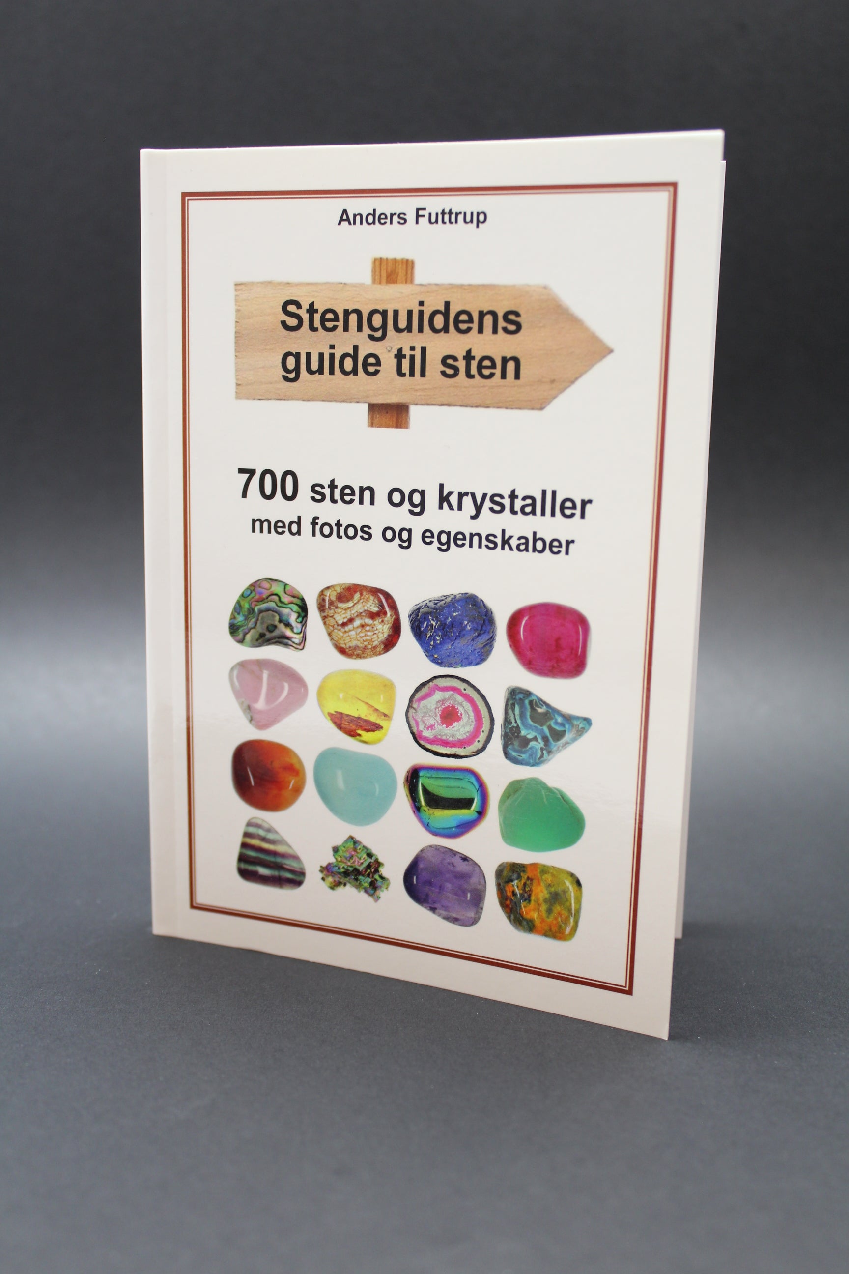 Bog - Stenguidens guide til sten