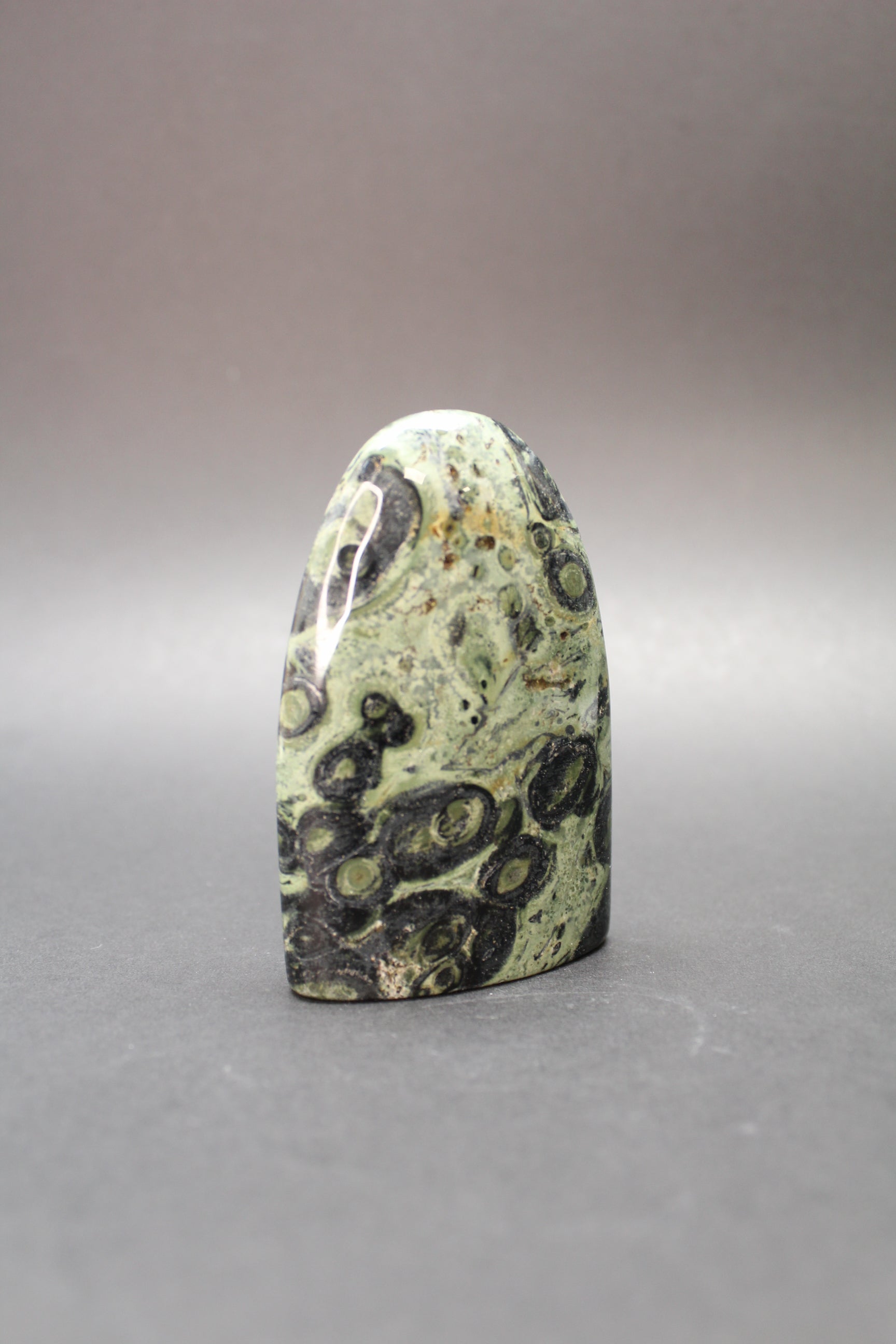 Kambaba Freeform (Nr. 2)