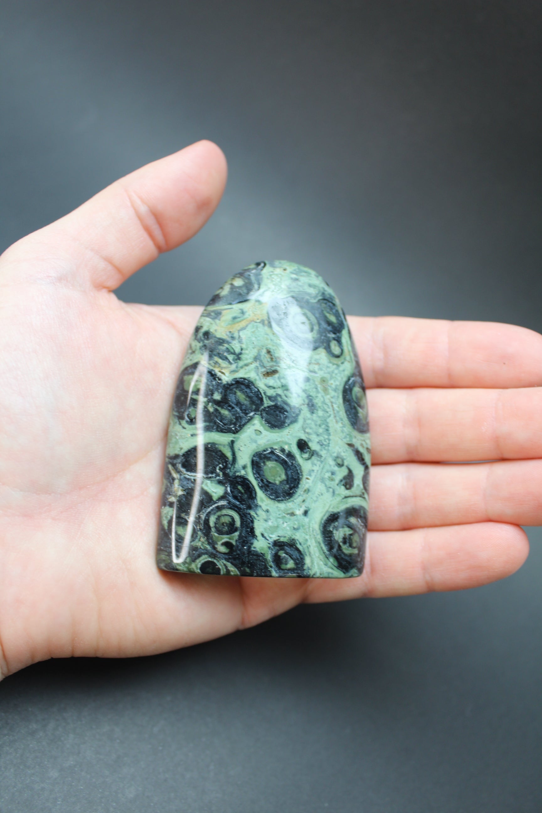 Kambaba Freeform (Nr. 2)