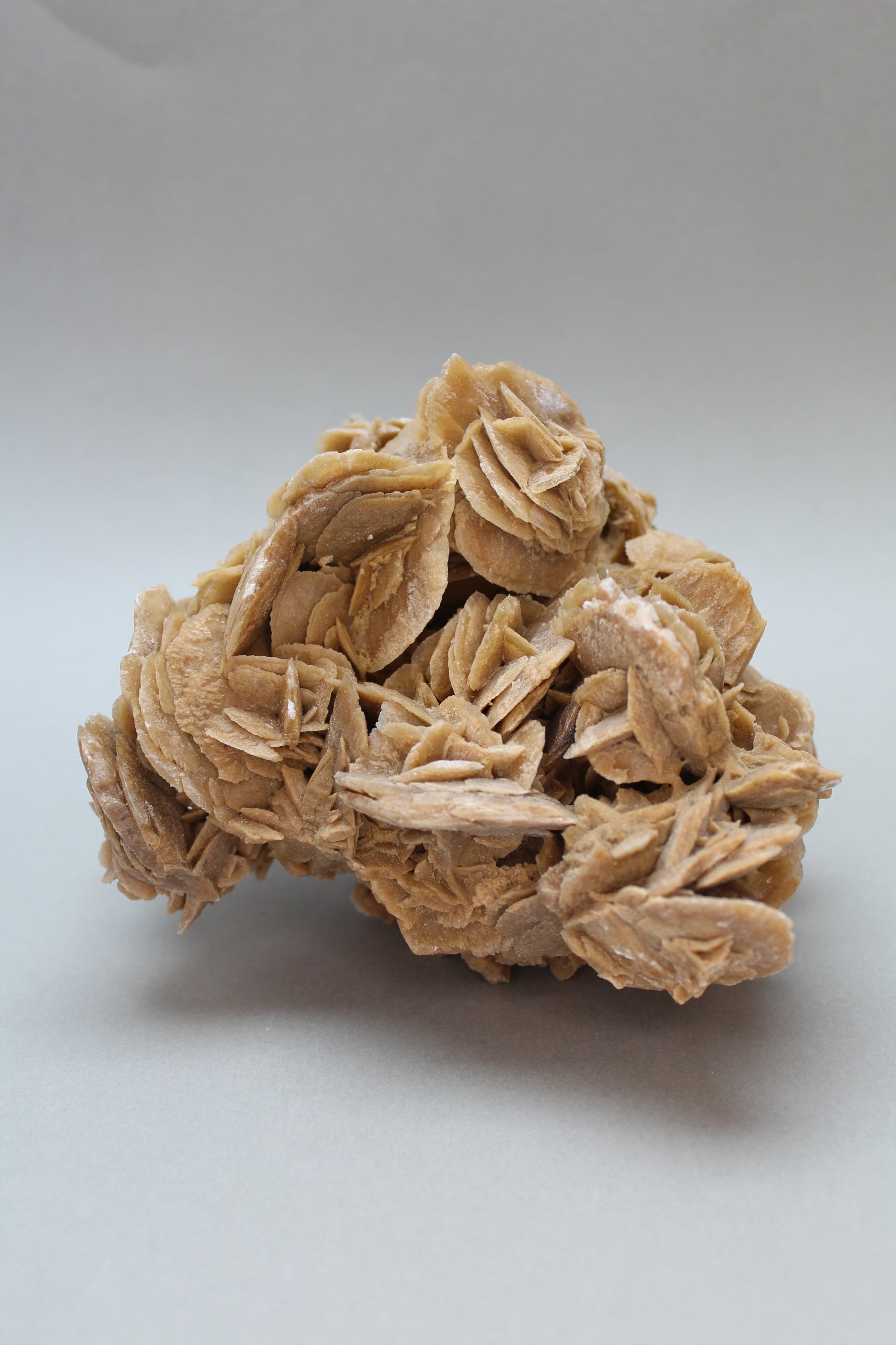 Ørkenrose 906 gr. (Nr. 1)