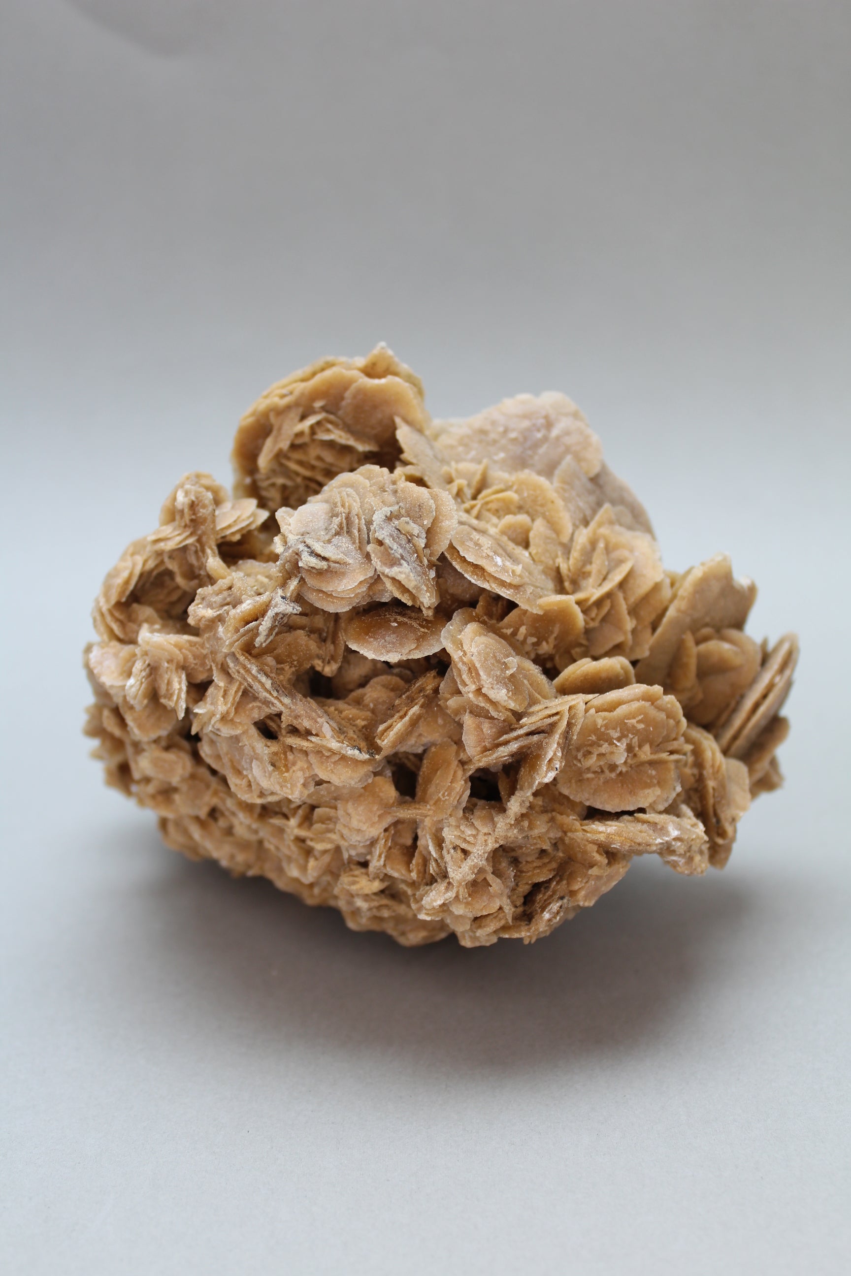 Ørkenrose 906 gr. (Nr. 1)