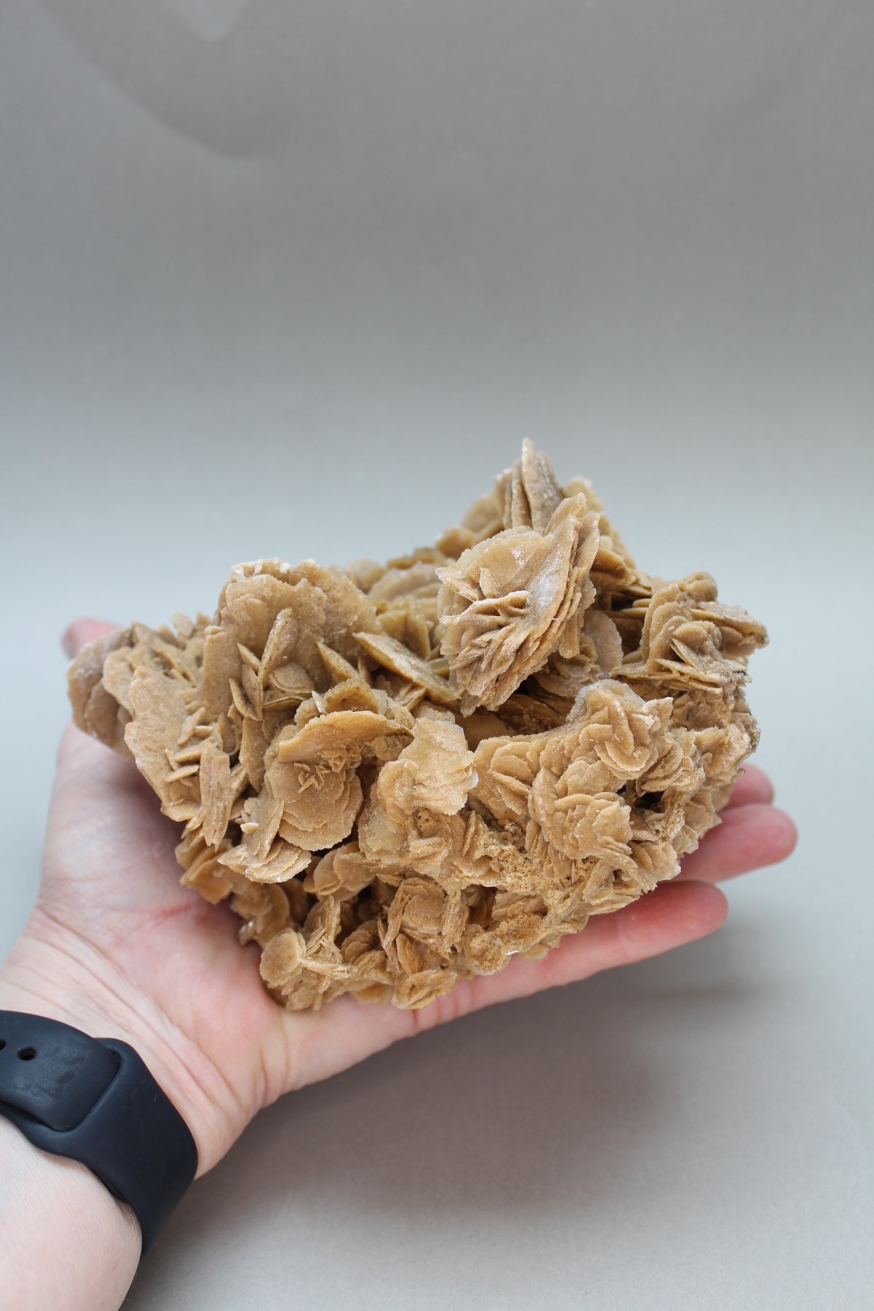 Ørkenrose 906 gr. (Nr. 1)