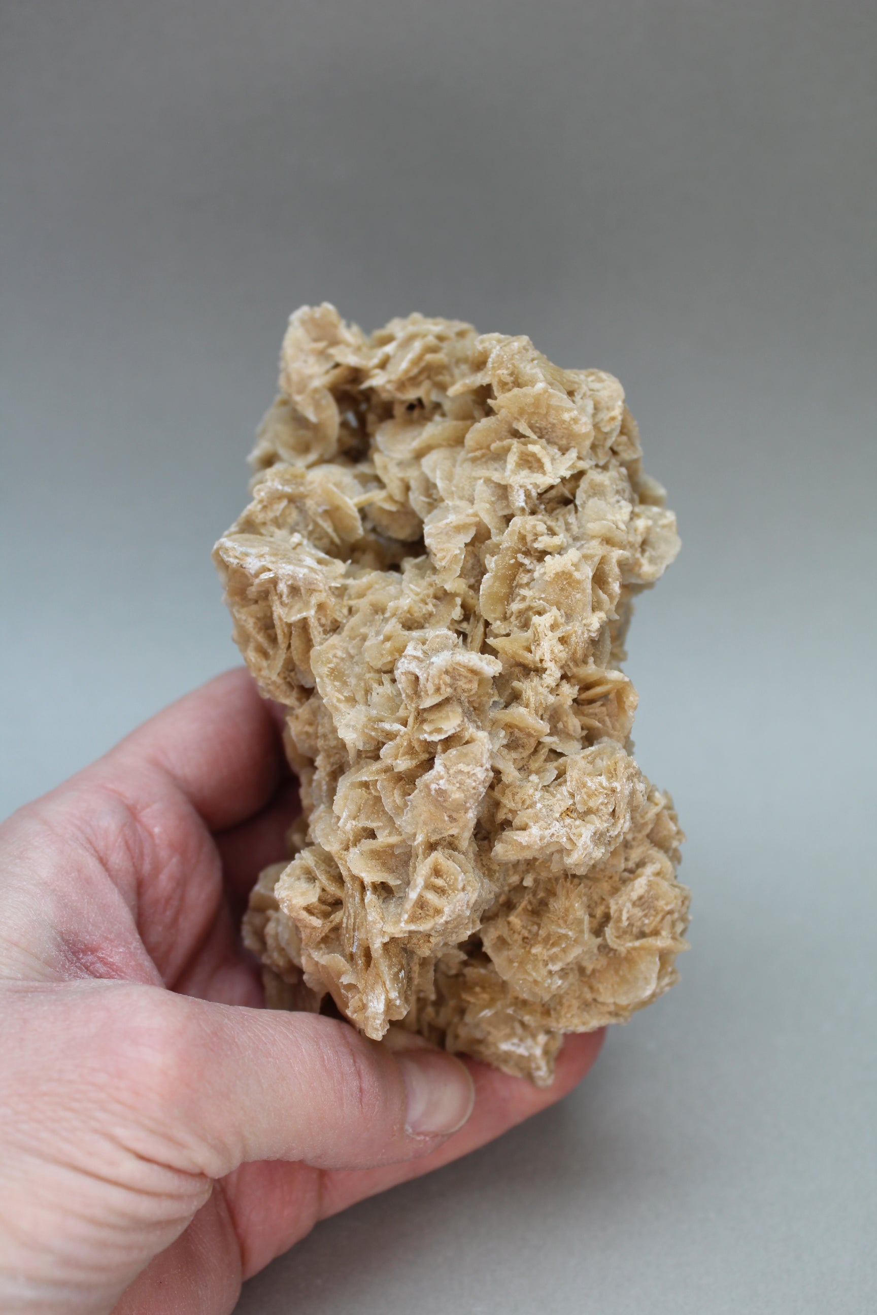 Ørkenrose 379 gr. (Nr. 2)
