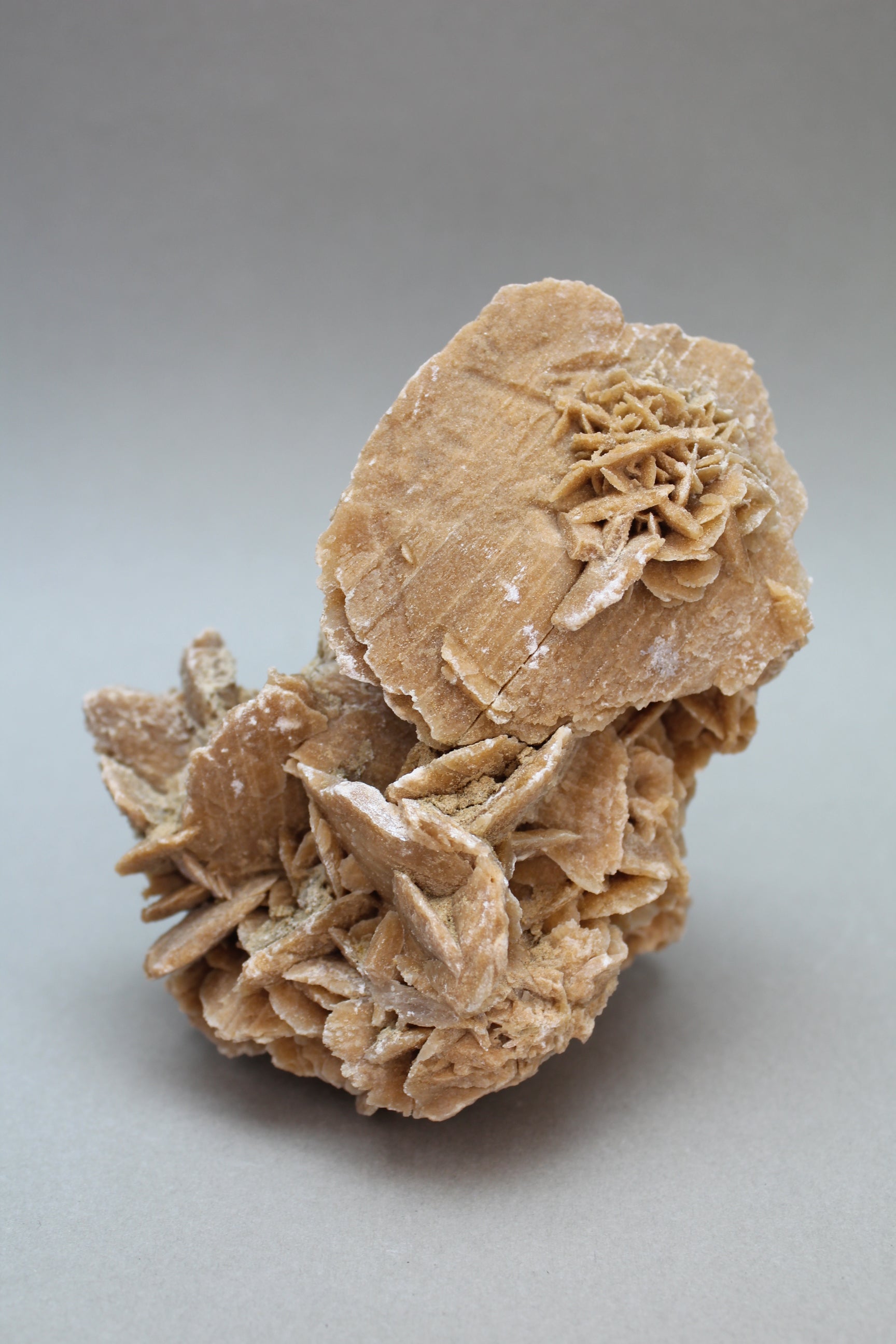 Ørkenrose 395 gr. (Nr. 3)