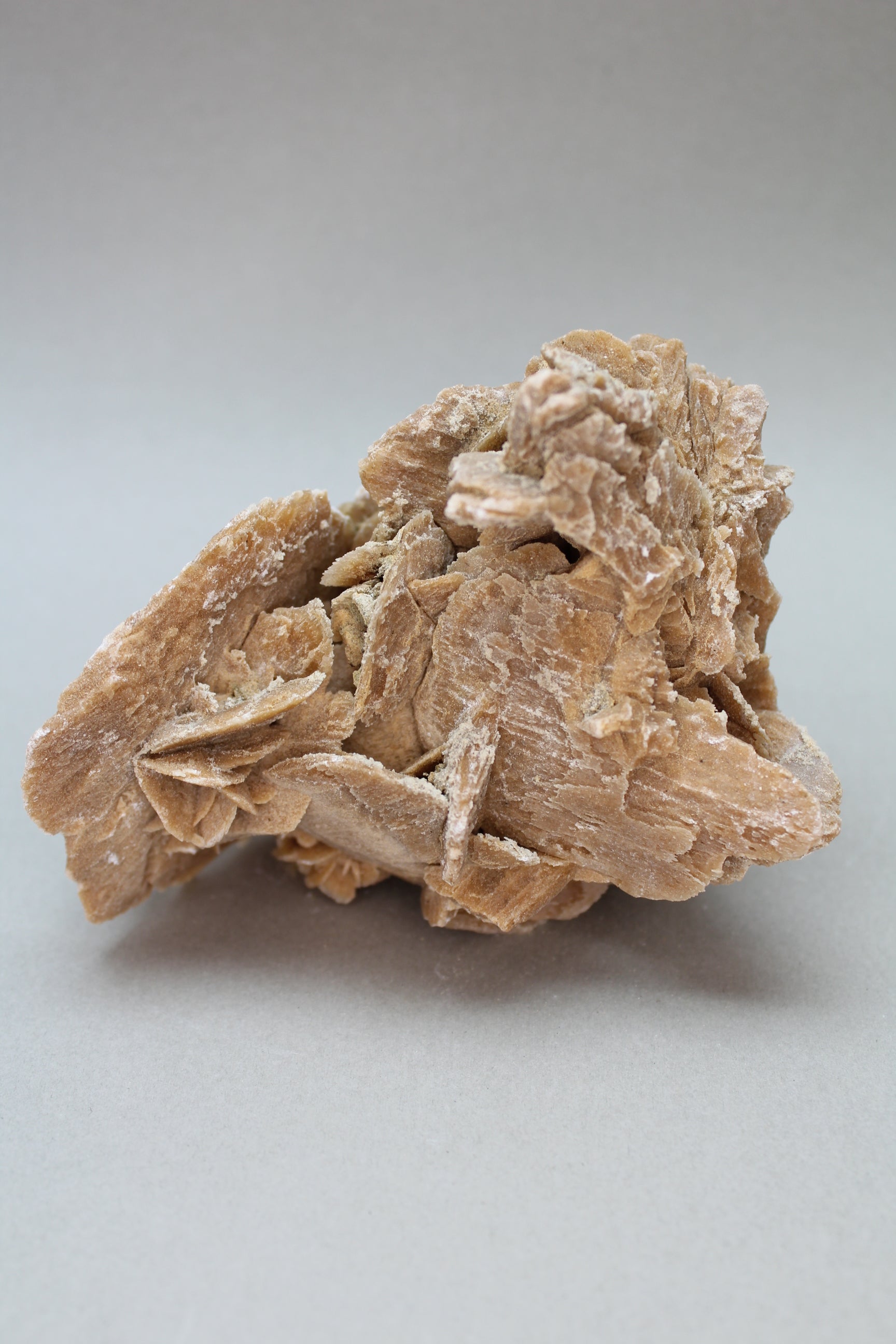 Ørkenrose 395 gr. (Nr. 3)